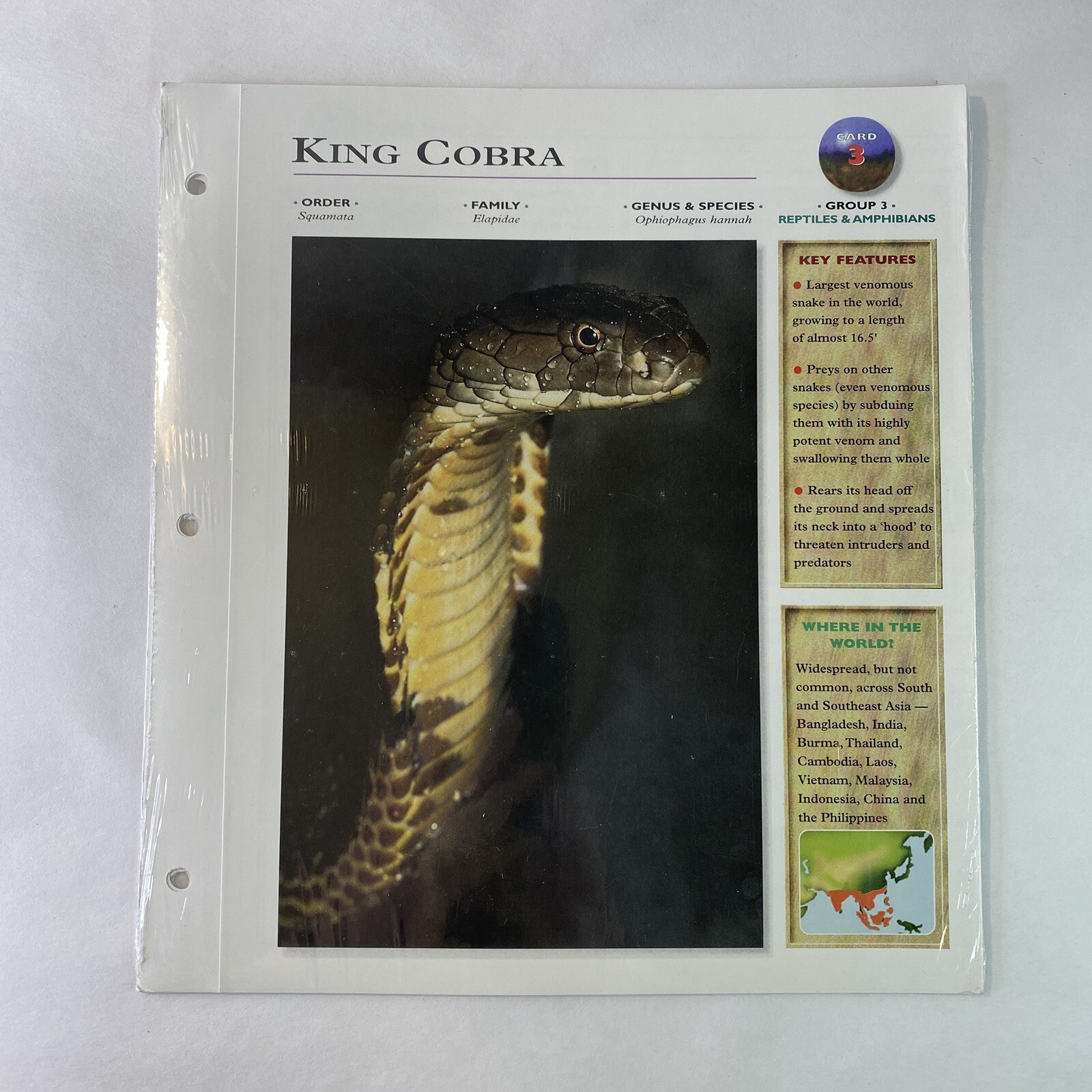 Wildlife Explorer Study Guides – Sealed Pack #00 – 6 Pages – New