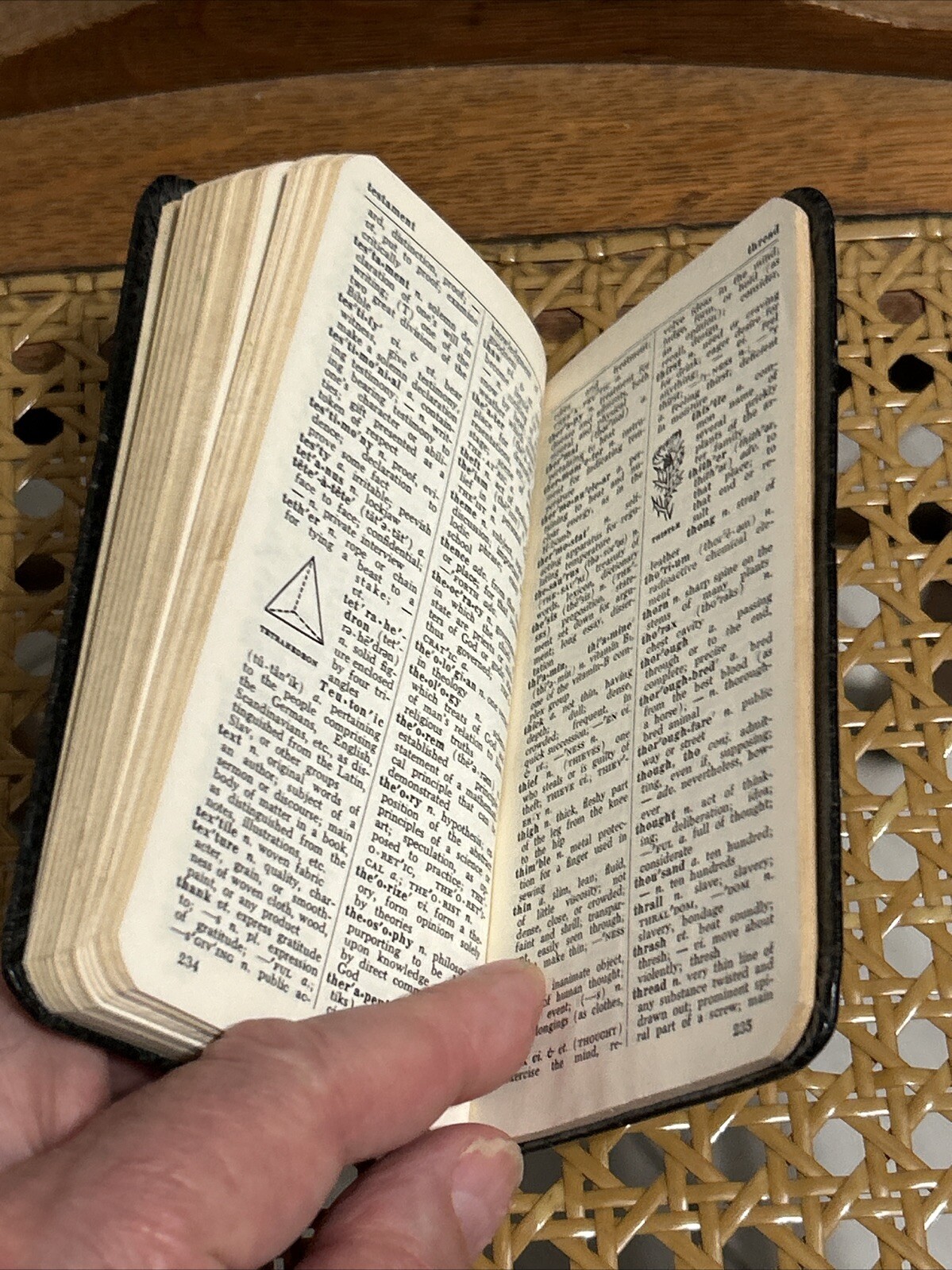 Pocket Size Vintage Webster Dictionary: Modern Revision (1965)