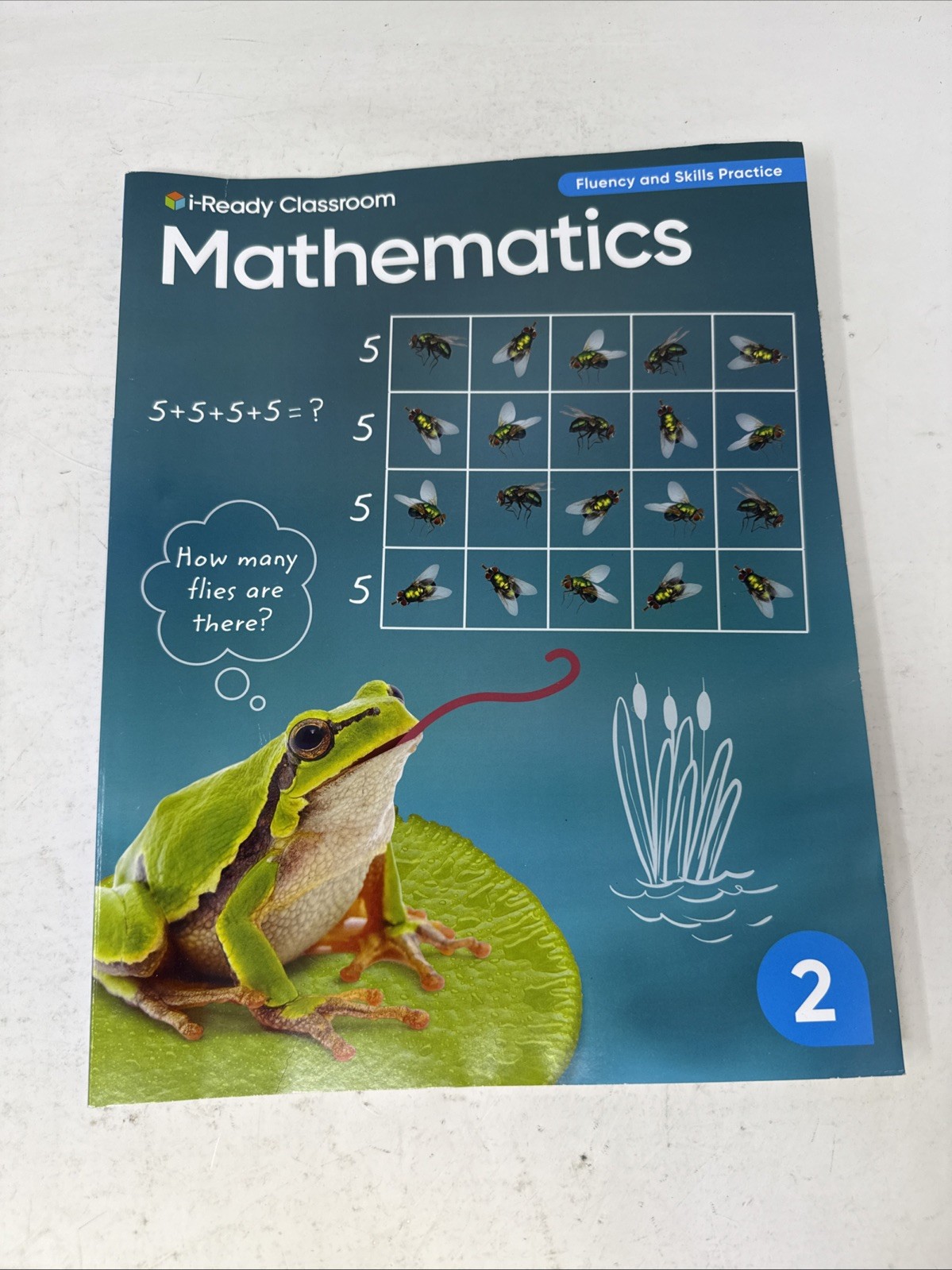 i-Ready Classroom Mathematics Fluency and Skills Practice Grade 2 UNUSED
