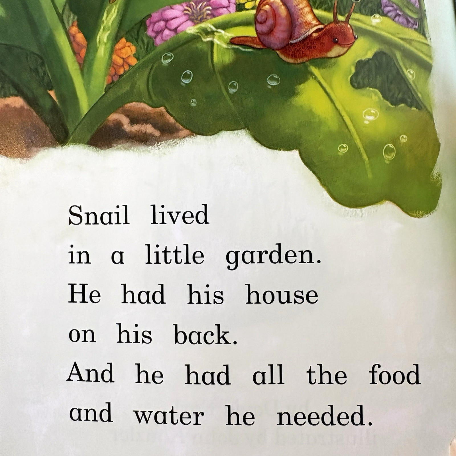 GRADE 1 READERS Homeschool Reading Books Fountas & Pinnell Curriculum 17 Books