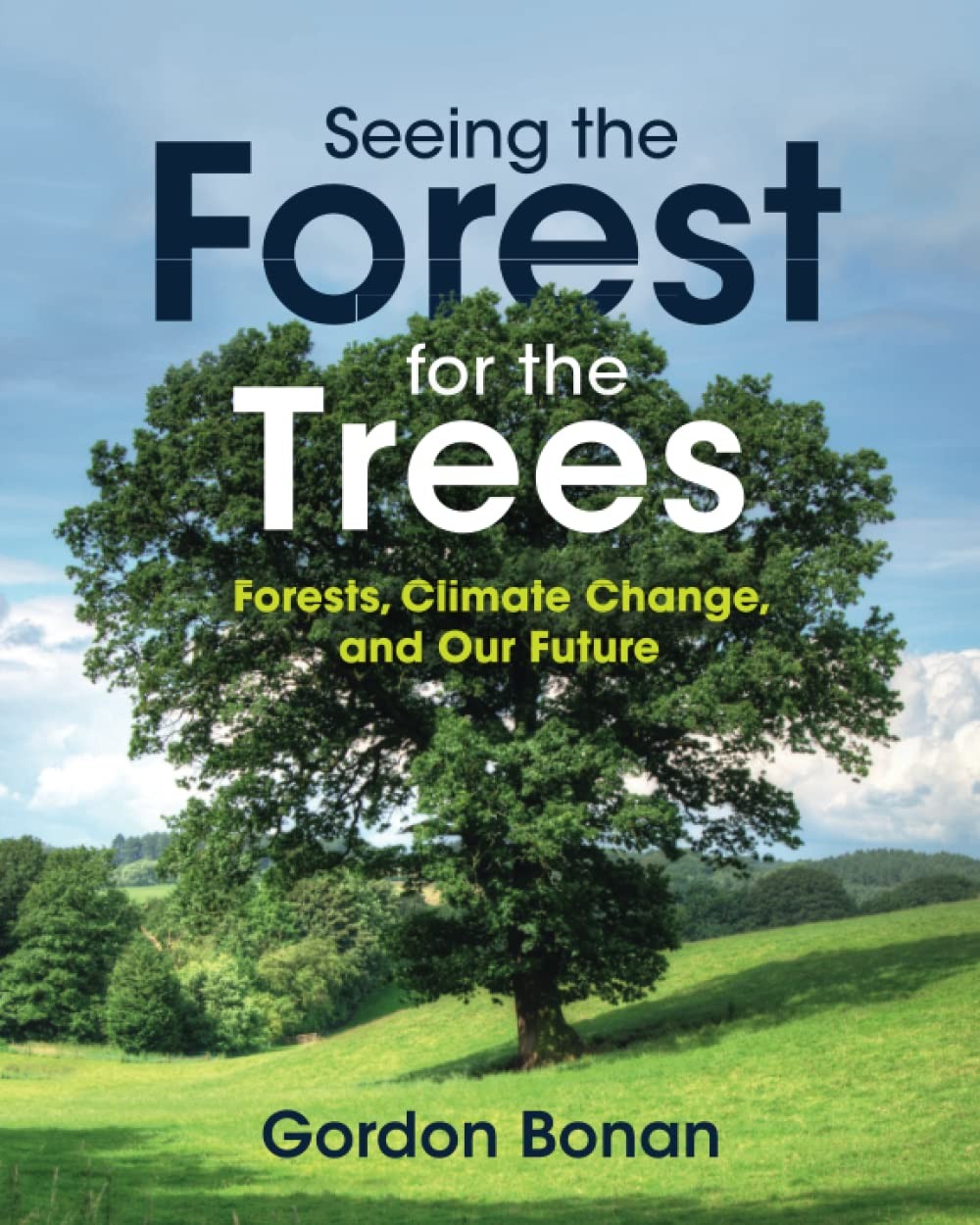 Seeing the Forest for Trees