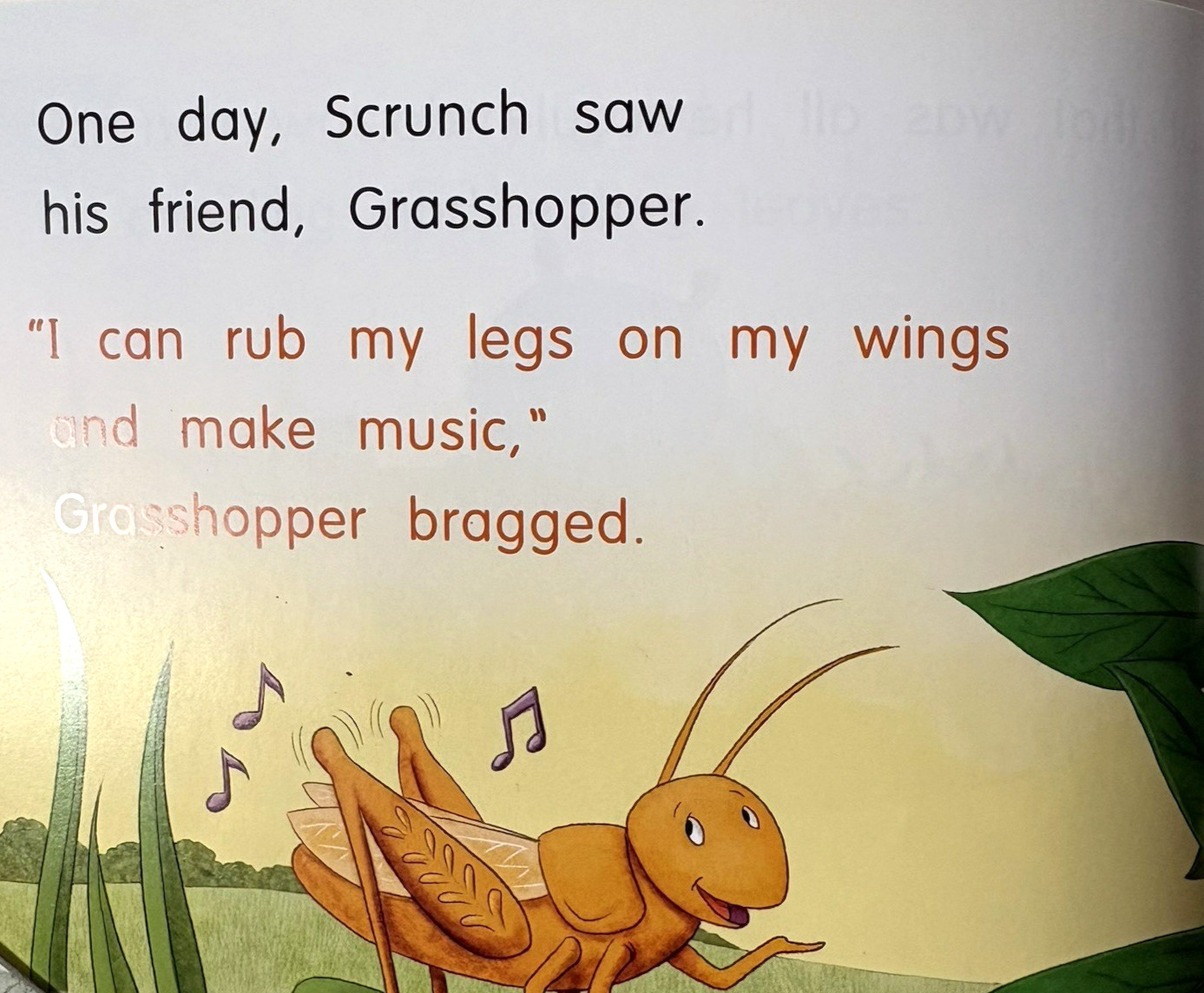 GRADE 1 READERS Homeschool Reading Books Fountas & Pinnell Curriculum 18 Books