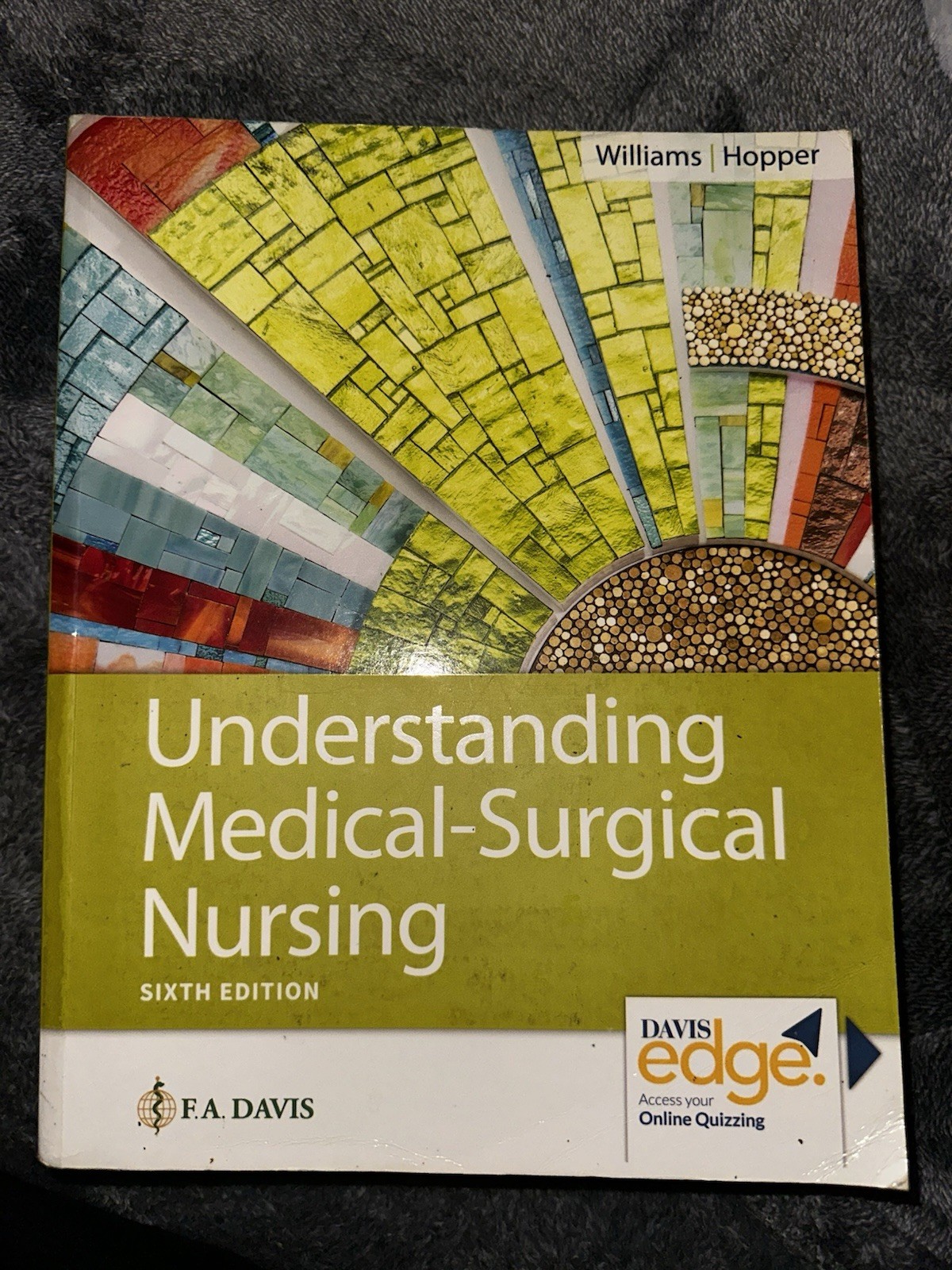 Understanding Medical-Surgical Nursing by Linda S. Williams and Paula D. Hopper