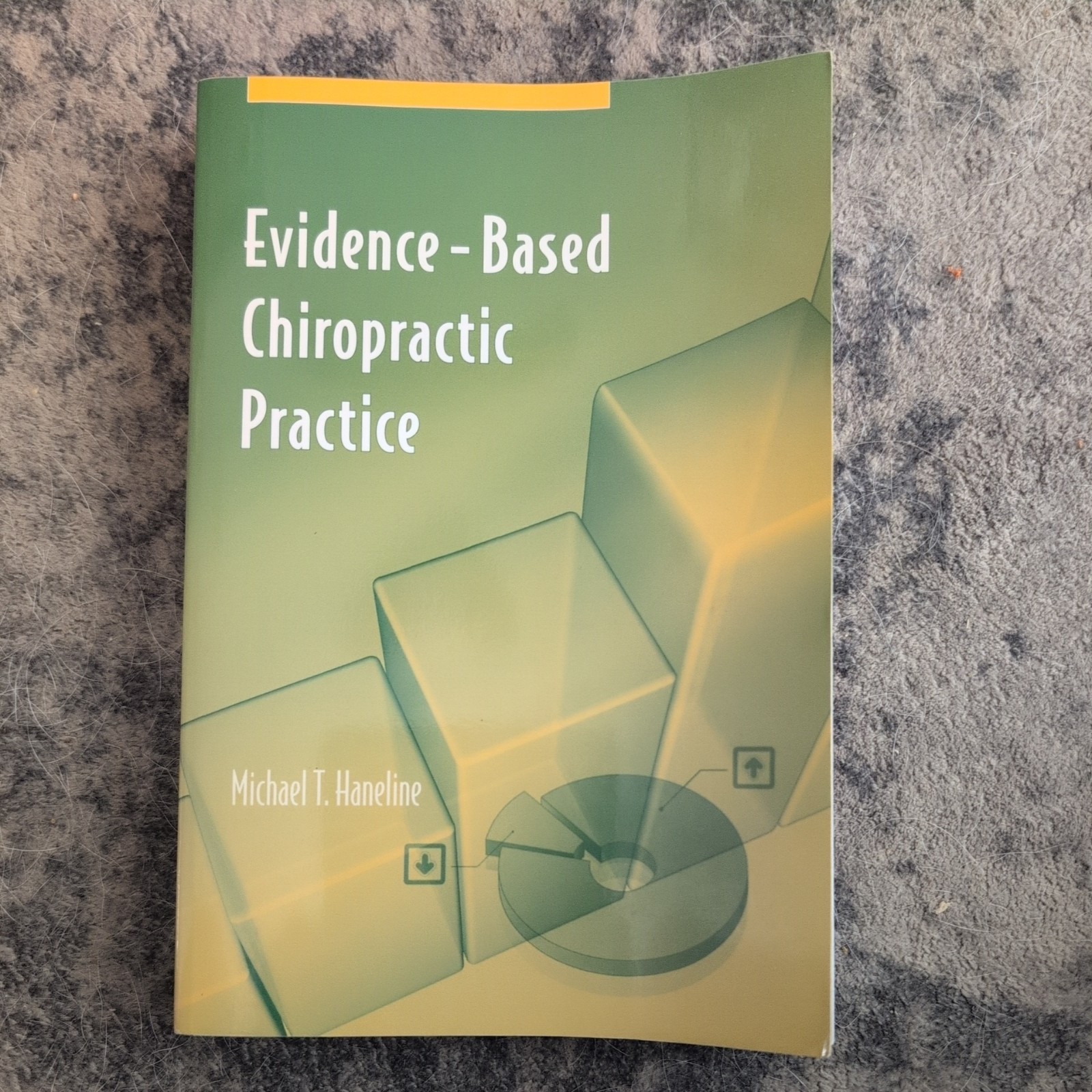 Evidence-Based Chiropractic Practice by Michael T. Haneline (2006, Perfect)