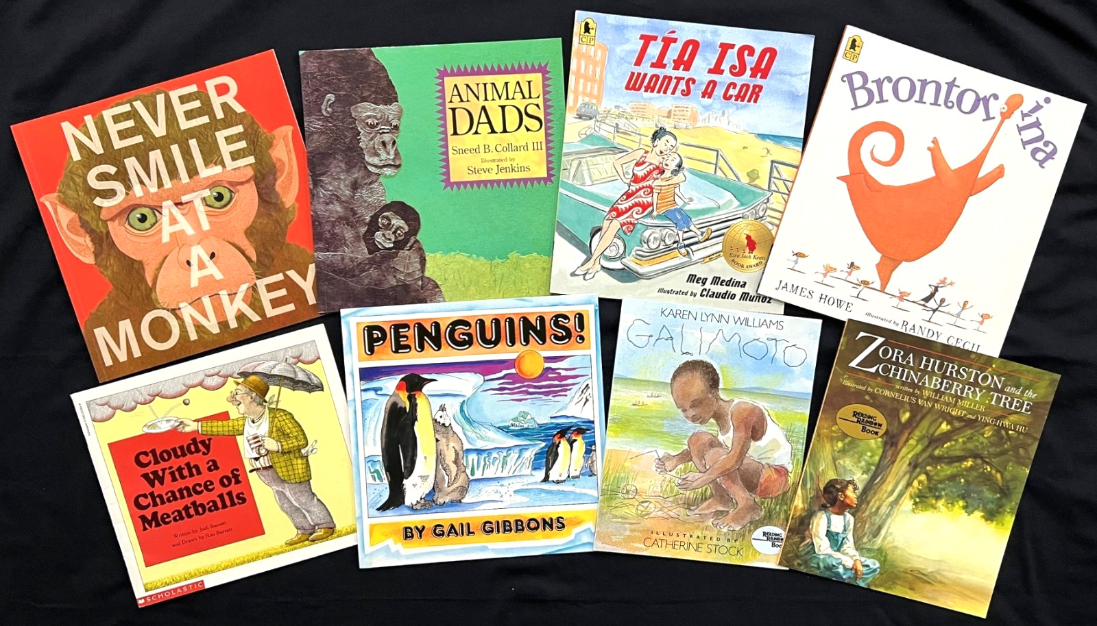 2nd Grade – FOUNTAS & PINNELL – Interactive Read-Aloud (8 books) (Sets 17-25)
