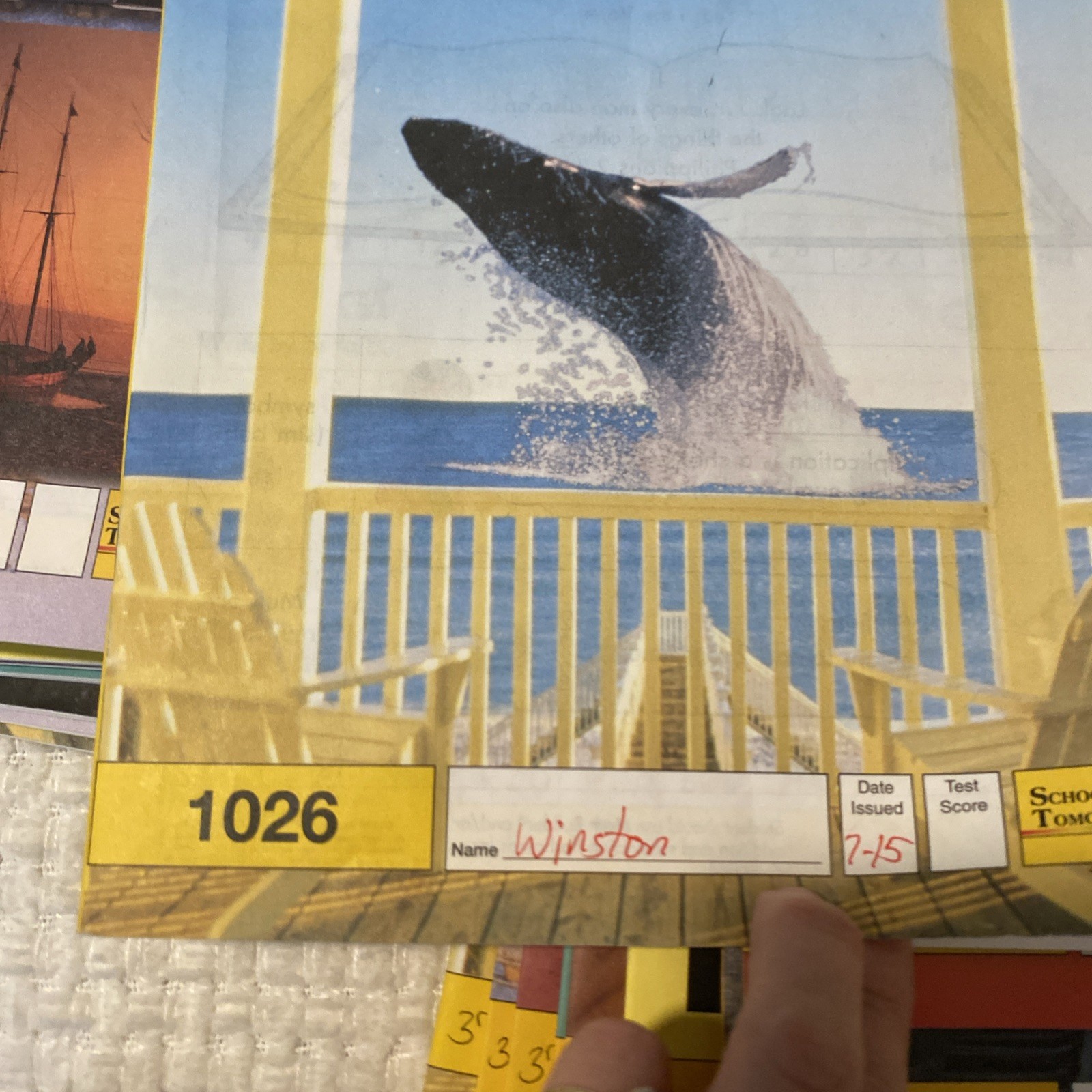 ACE PACEs Math 3rd Grade Complete With Score Keys 1025-1036 School of Tomorrow