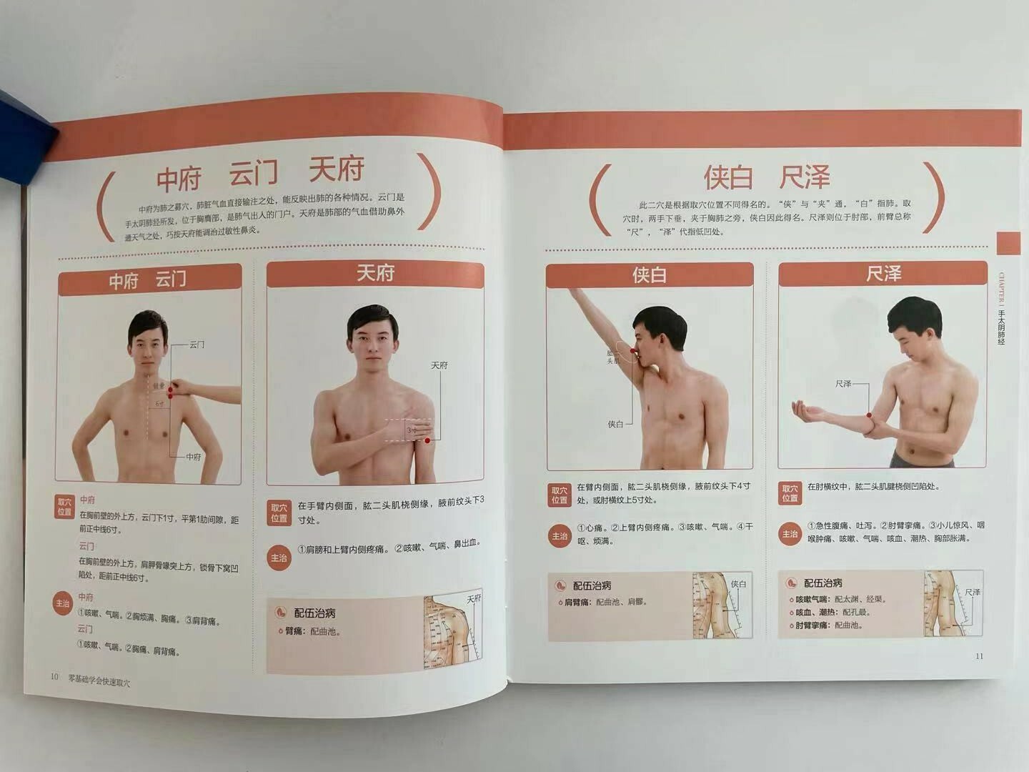 简体全中文零基础学会快速取穴 Learn to pick acupoints quickly in Chinese