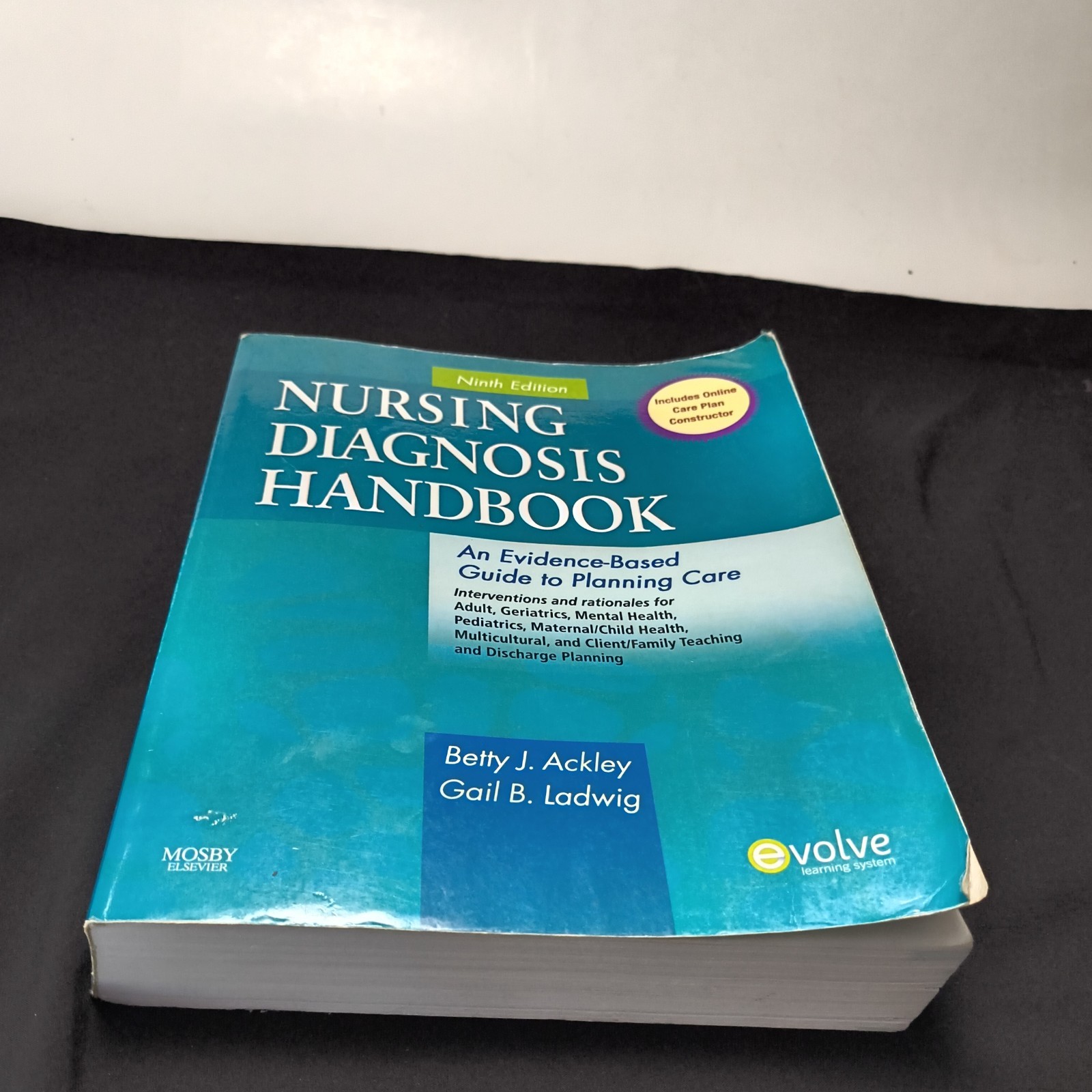 NURSING DIAGNOSIS HANDBOOK: AN E