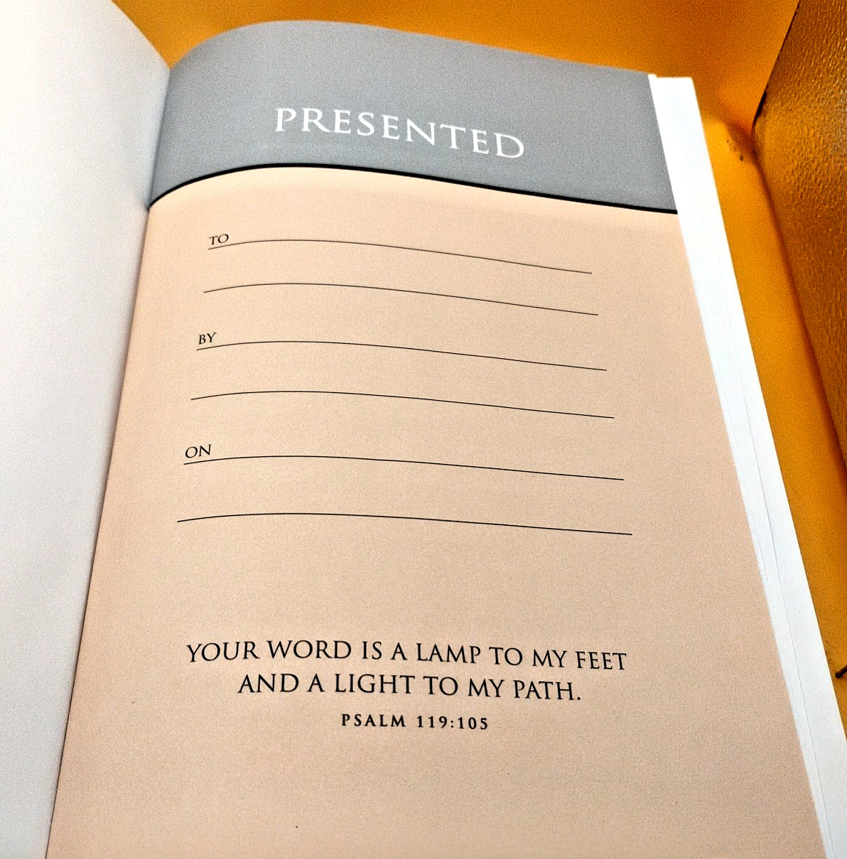 Amplified Study Bible by Zondervan (2017, Hardcover)