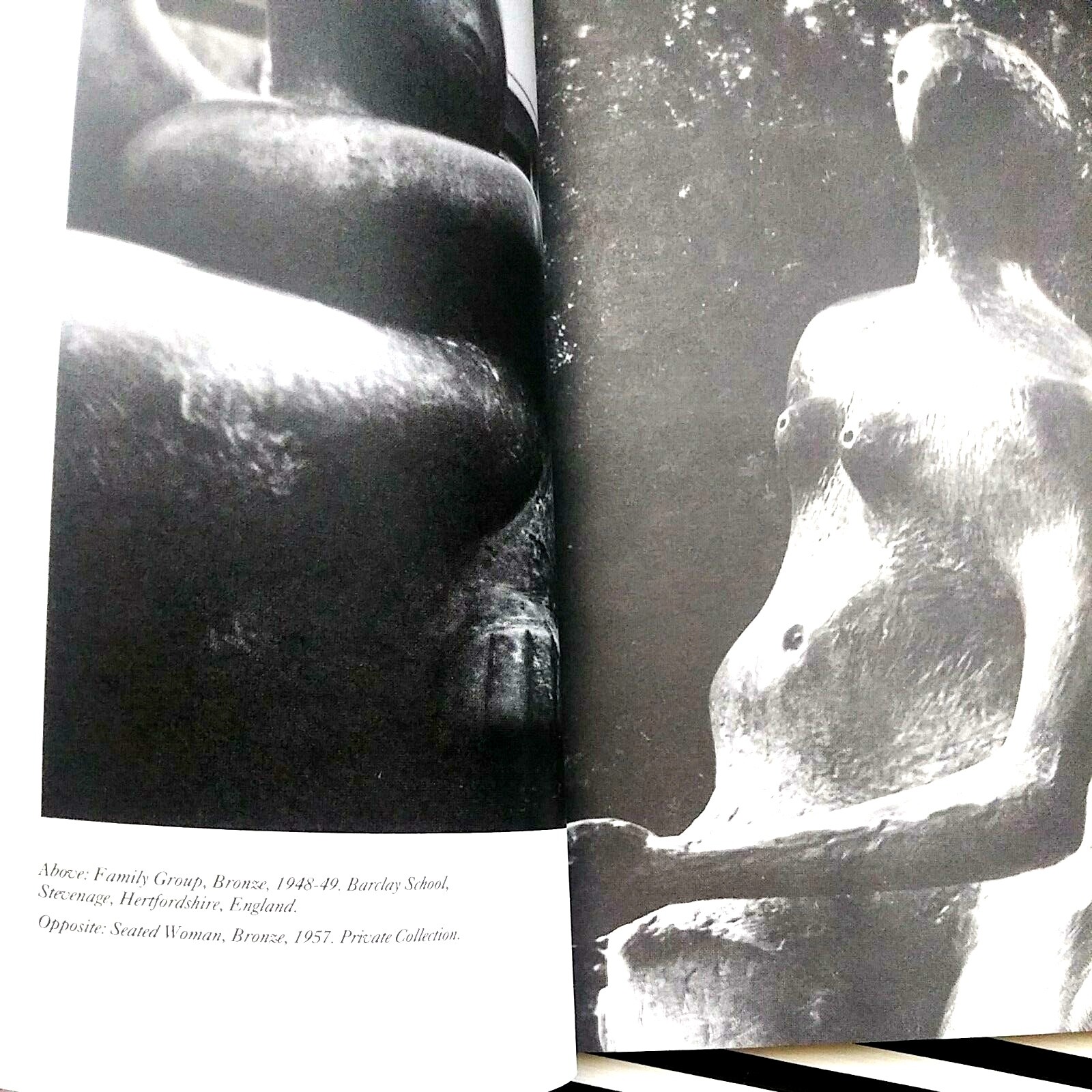 One Man’s Henry Moore | David Finn | Paperback | Art Bestseller