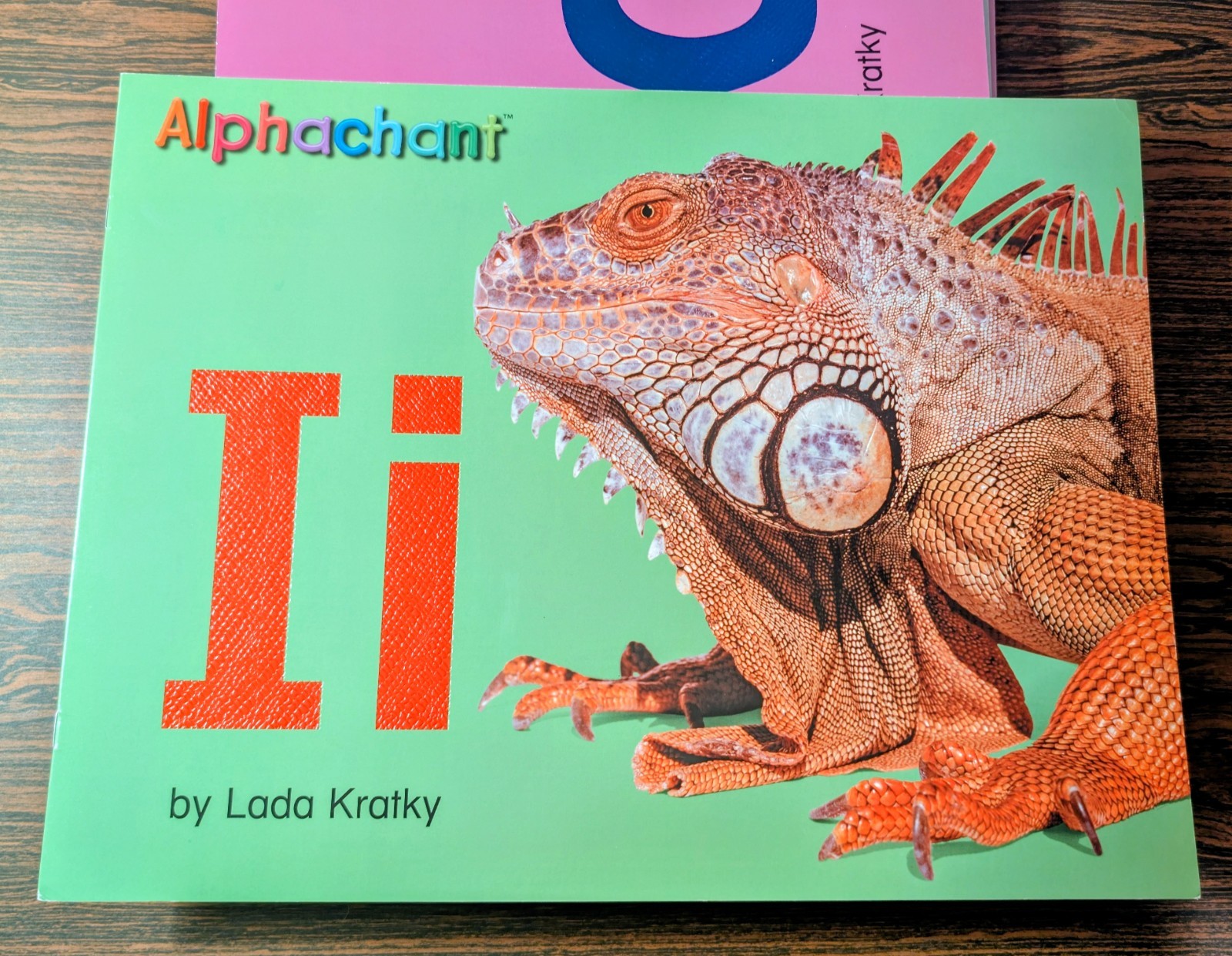 Rare Vintage Children’s Alphabet Books (Aa-Zz)