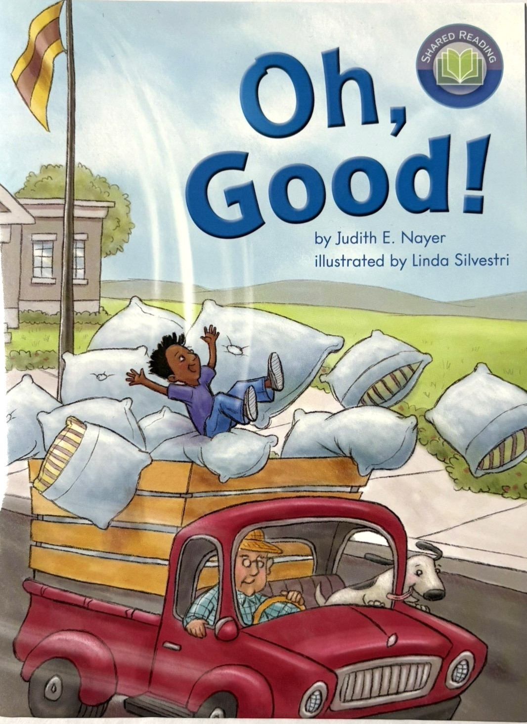 GRADE 1 READERS Homeschool Reading Books Fountas & Pinnell Curriculum 17 Books