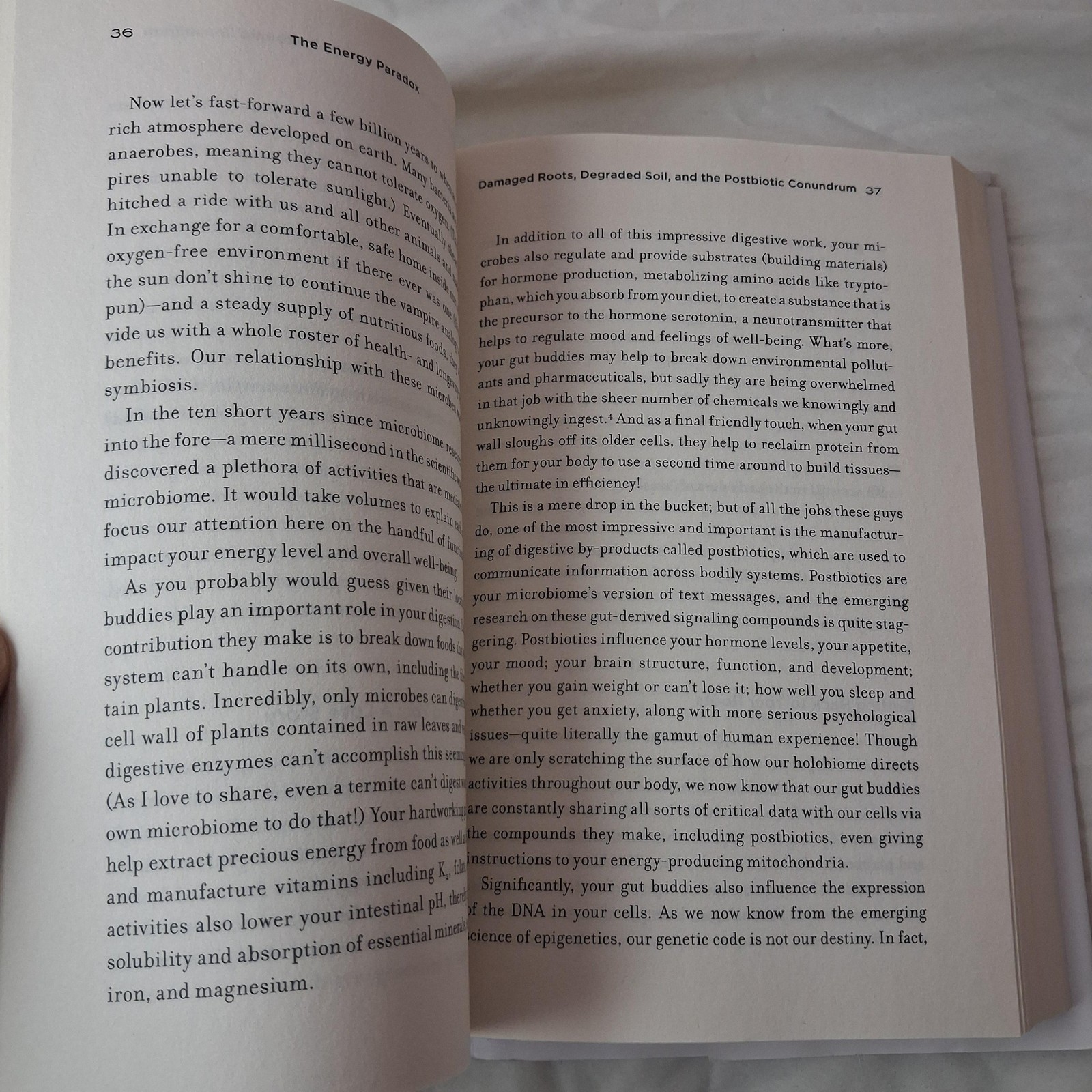 The Energy Paradox: What To Do When Get-Up-And-Go Has Gone Steven R Gundry HC