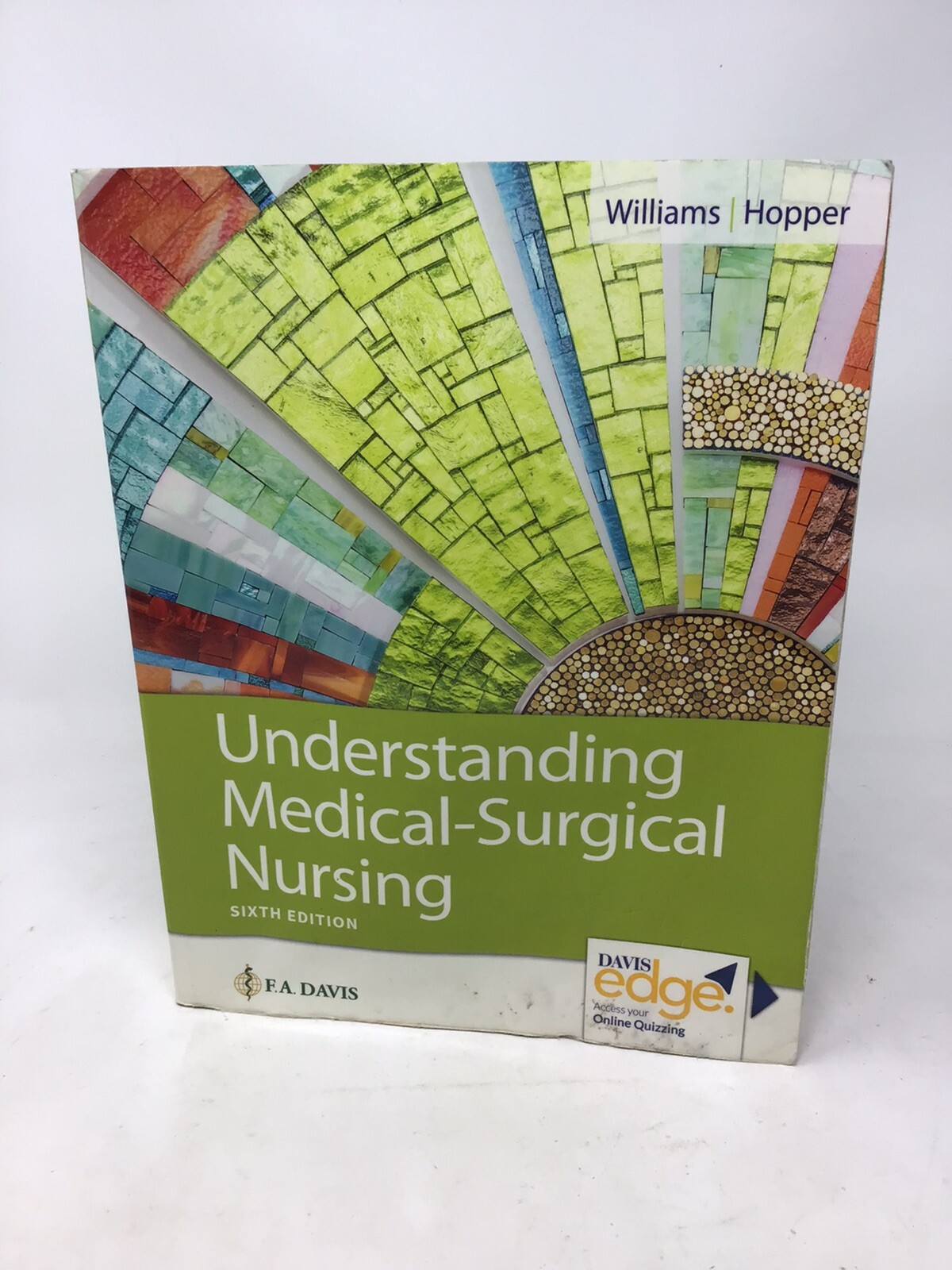 Understanding Medical-Surgical Nursing by Paula D. Hopper and Linda S. Williams