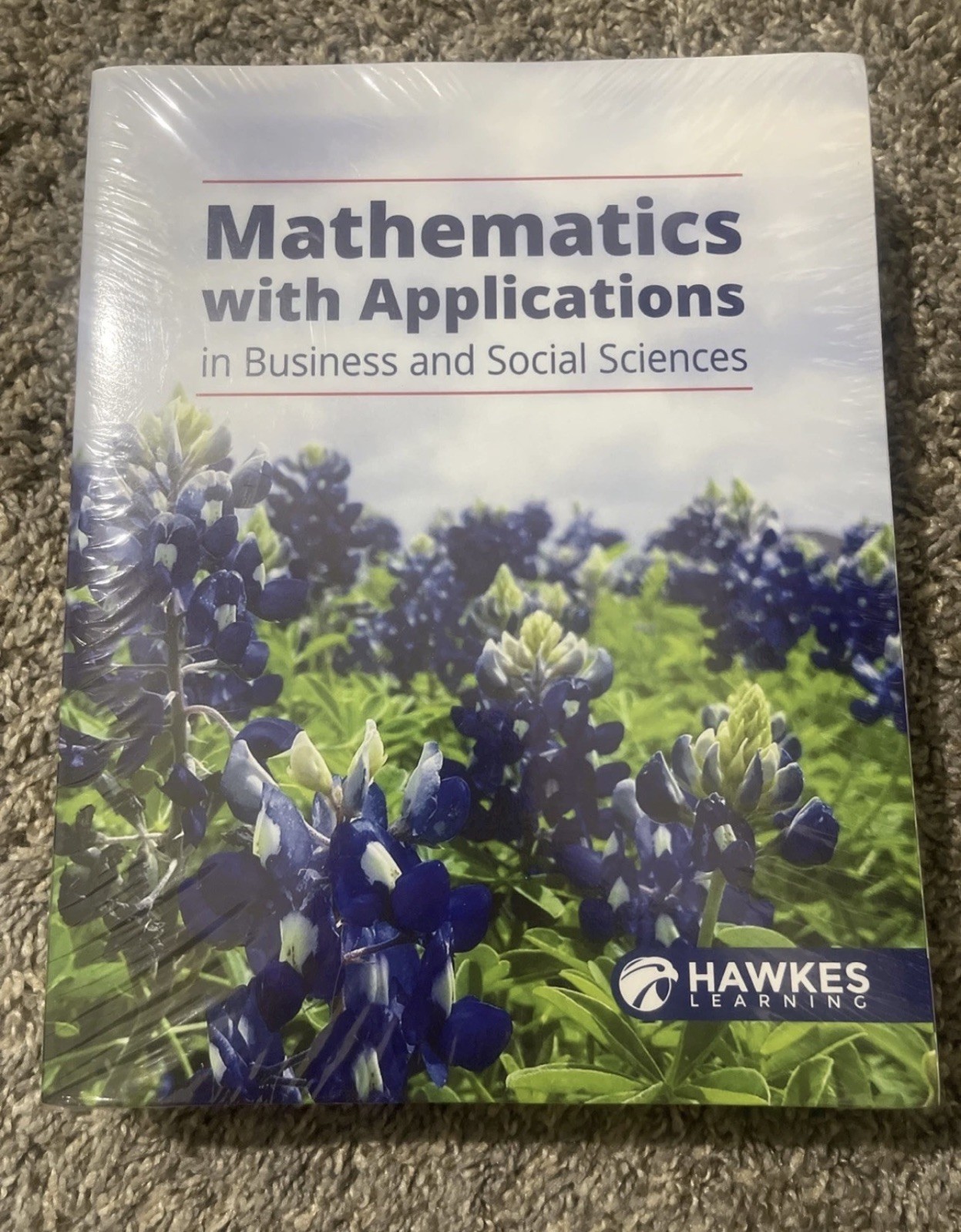 Mathematics with Applications in Business and Social Science Hawkes Learning.
