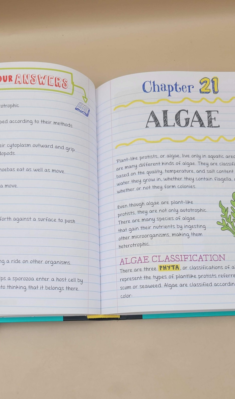 Everything You Need to Ace Biology High School Study Guide Big Fat Notebook