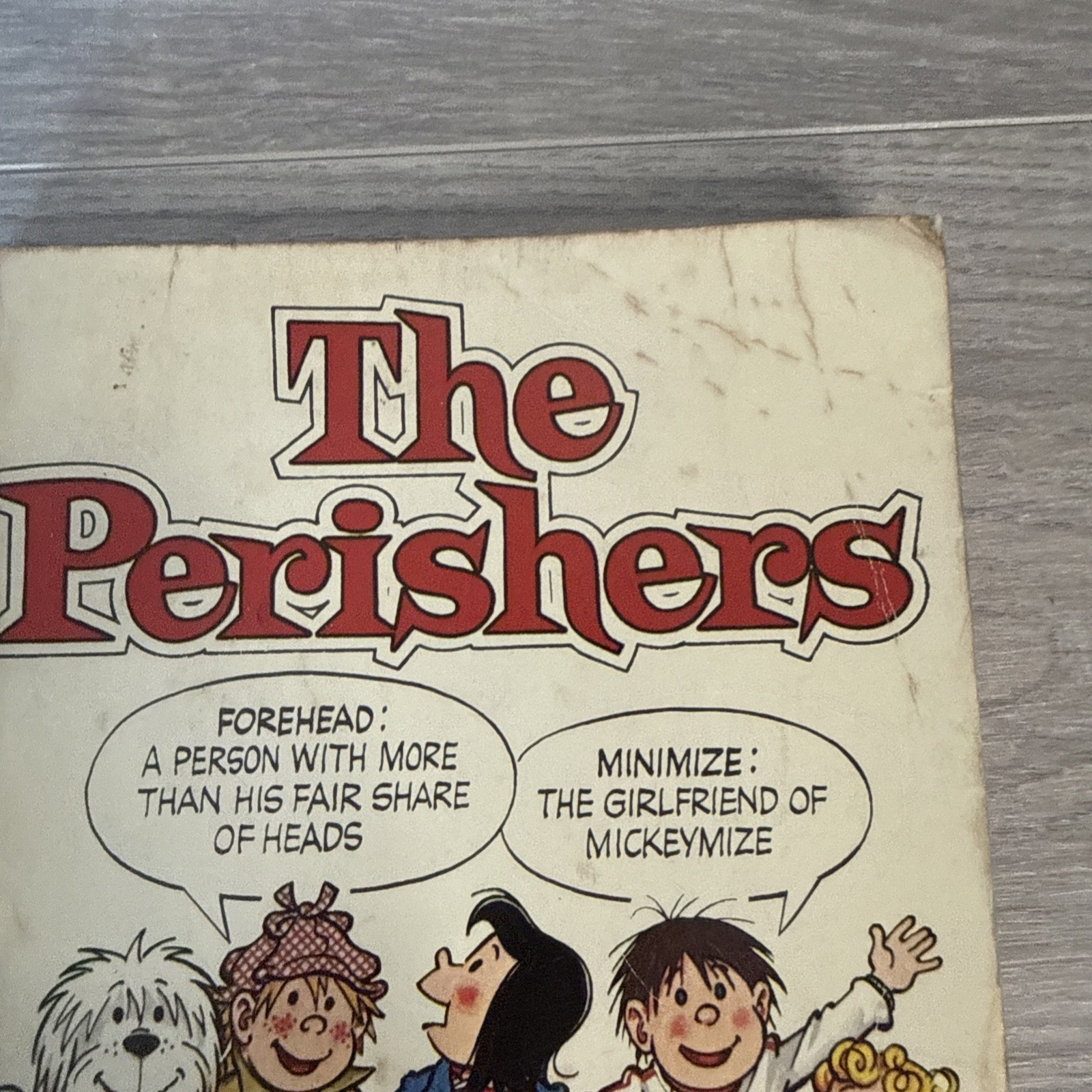 The Perishers Dotty Dictionary(An Educational Mustn’t )-Vintage 1977 Comic Strip