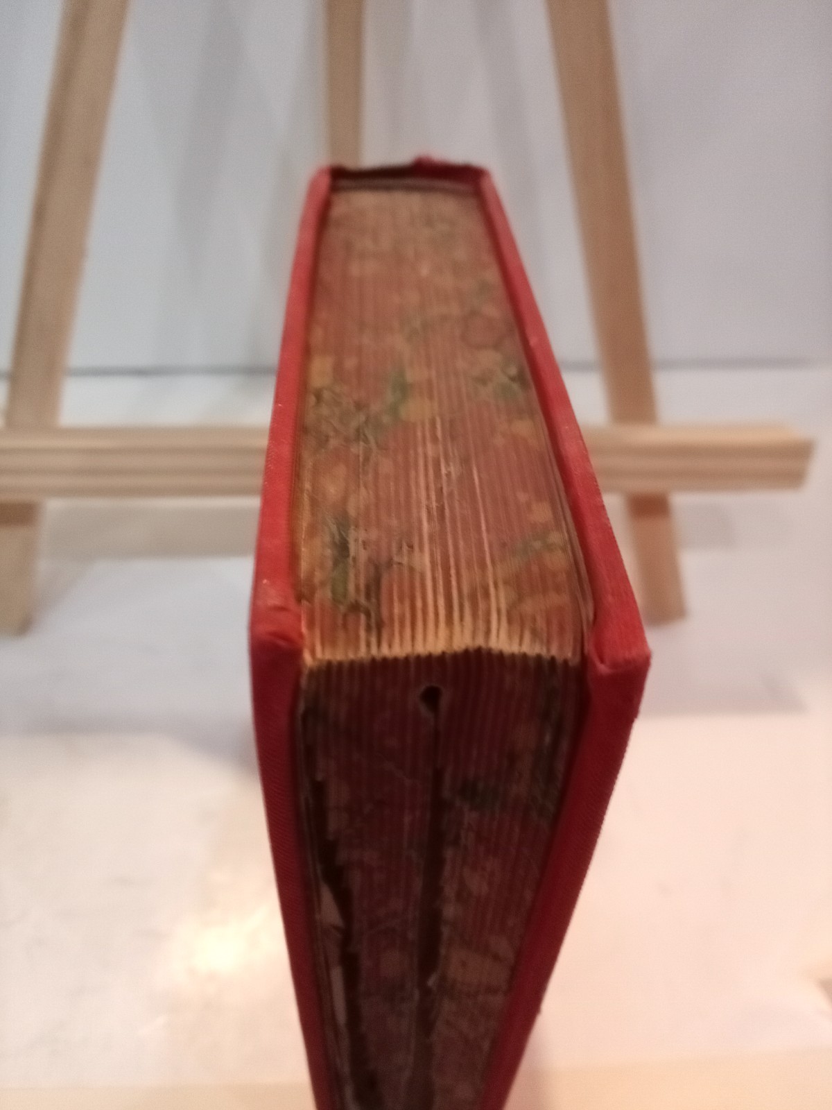 Salvá-Webster Illustrated Spanish-English English-Spanish Dictionary New Edition