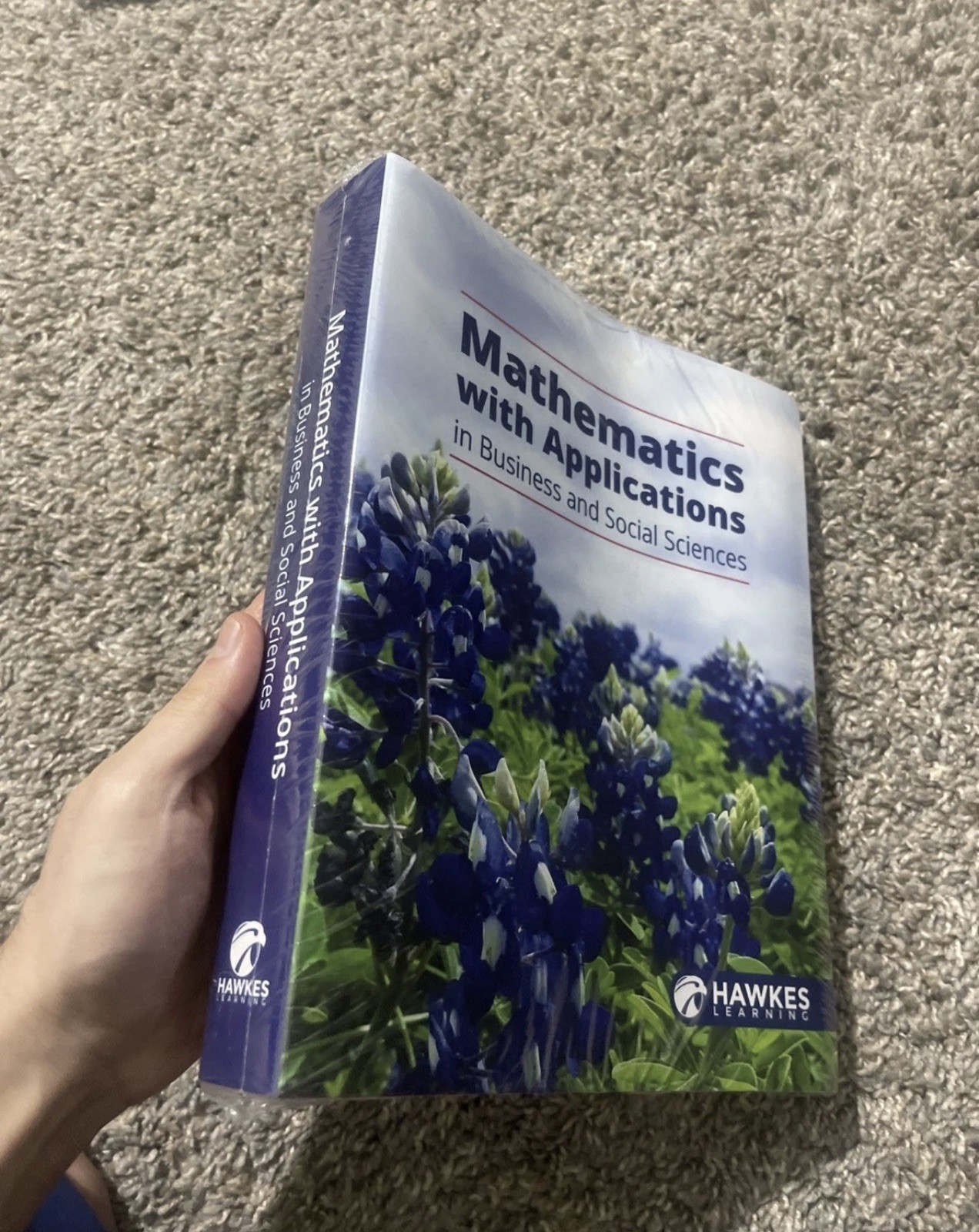 Mathematics with Applications in Business and Social Science Hawkes Learning.