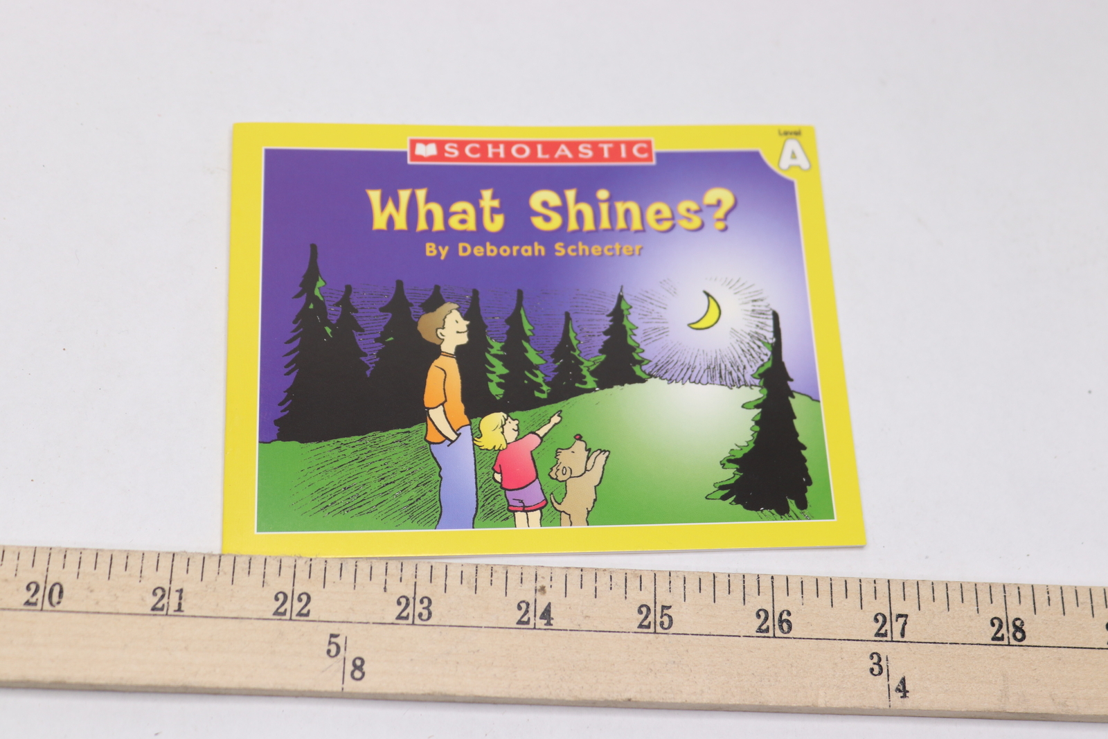 Level A Little Leveled Readers: What Shines? By Deborah Schecter
