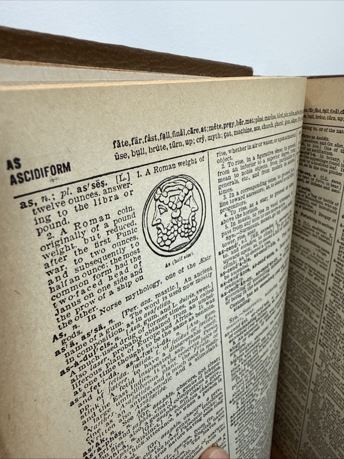 Webster’s Universities Dictionary by Noah Webster Legum Doctor 1942 Vintage