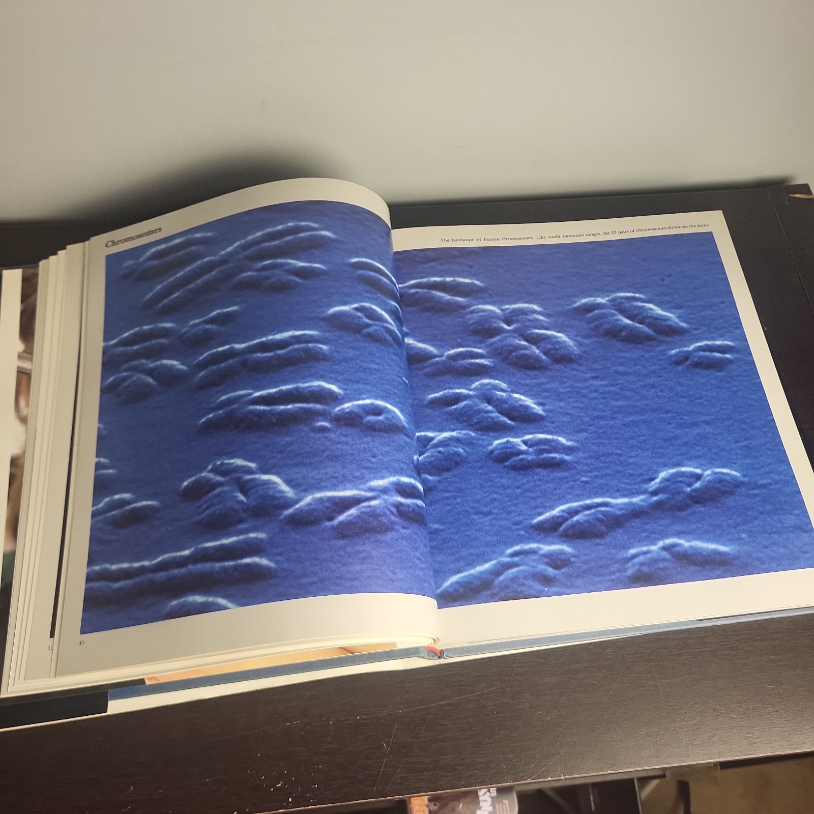 The Body Victorious THE ILLUSTRATED STORY OF OUR IMMUNE By Lennart Nilsson, Used