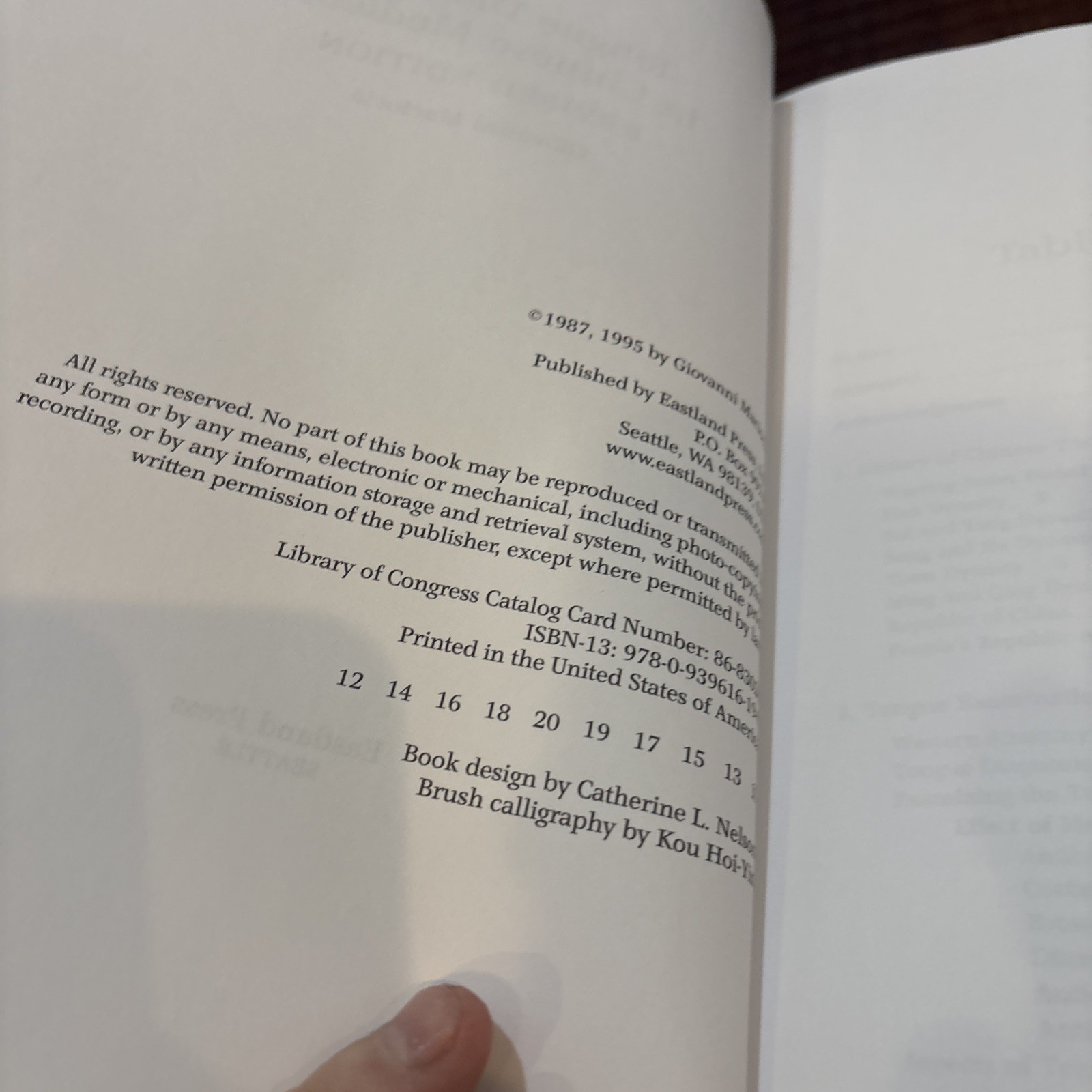 Tongue Diagnosis in Chinese Medicine by Giovanni Maciocia Revised Edition B29