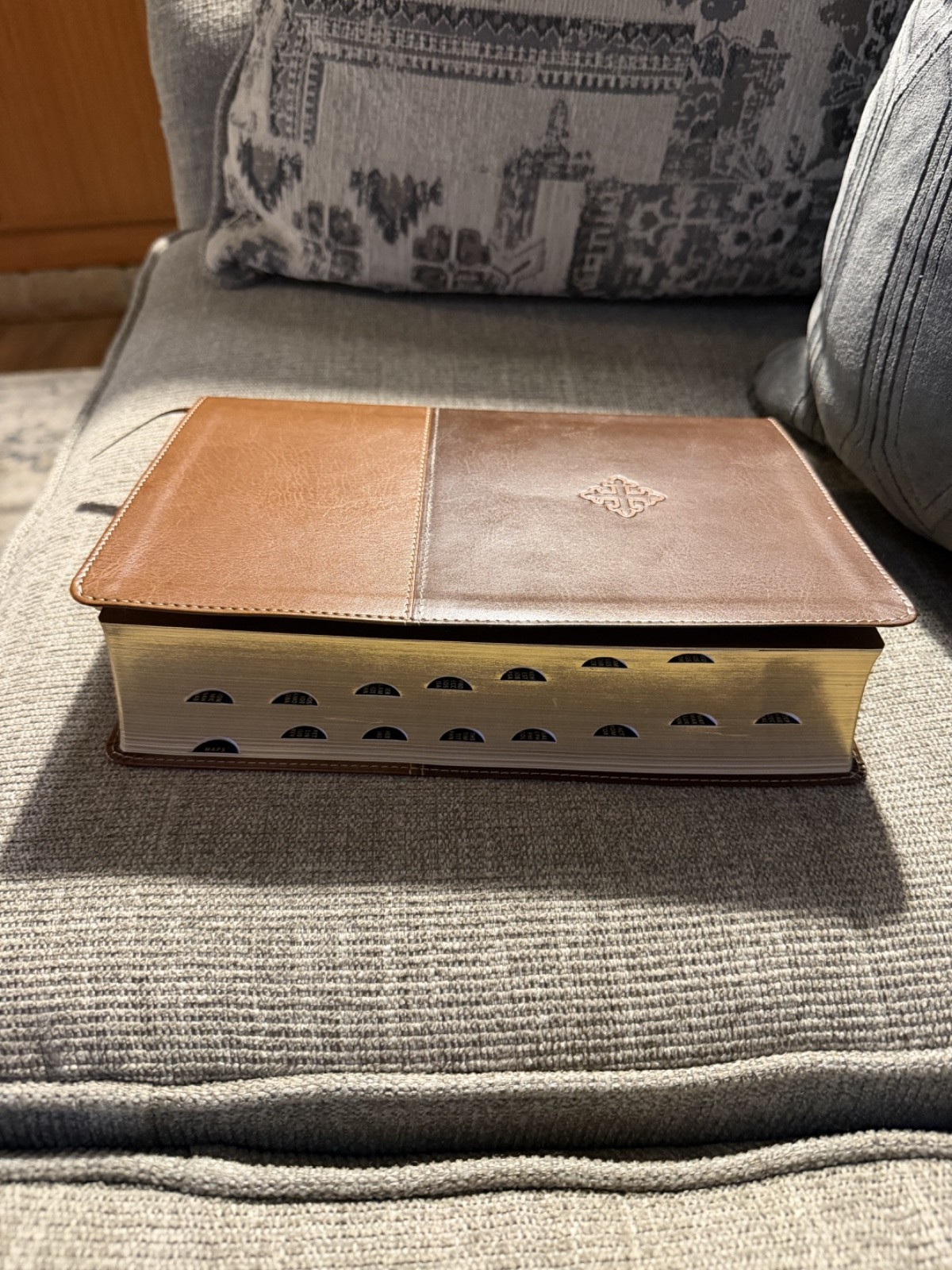 The Amplified Study Bible Amplified Brown Leathersoft Zondervan Thumb Indexed