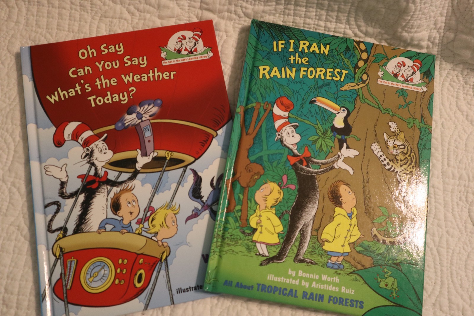Lot of 19 Children’s Books- K-2 Classroom-Read Alouds-CMason