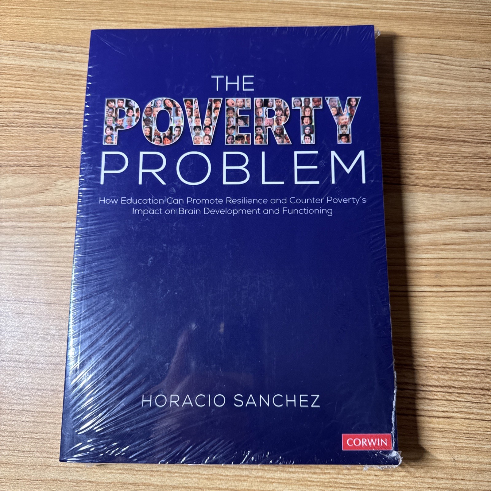 The Poverty Problem: How Education Can Promote Resilience and Counter Poverty’s