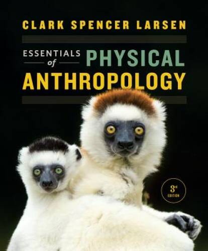 Essentials of Physical Anthropology (Third Edition) – Paperback – VERY GOOD