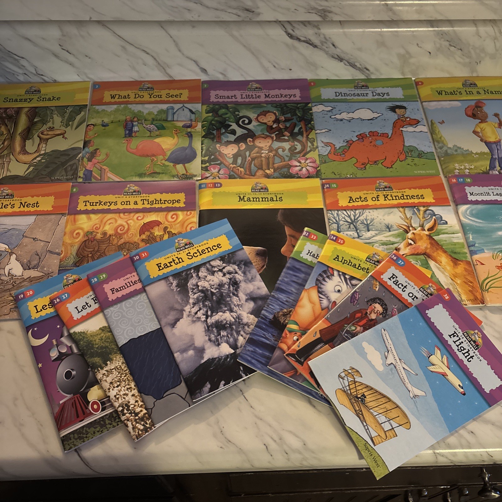 Grade 1 Read well Book Set 30 books