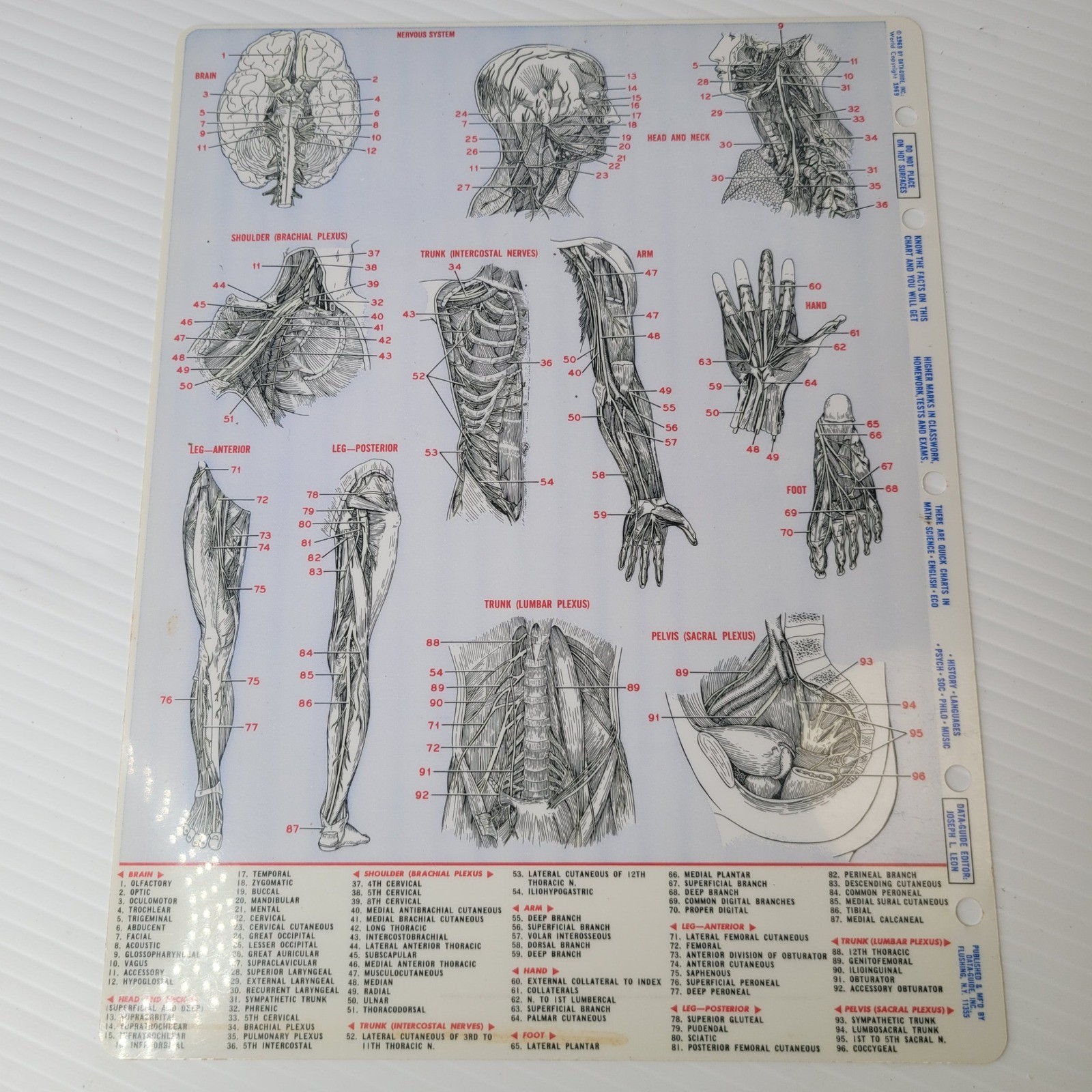 Vis-Ed Medical Terminology Cards Nurse Clinical Guide Anatomy Charts Wound Care