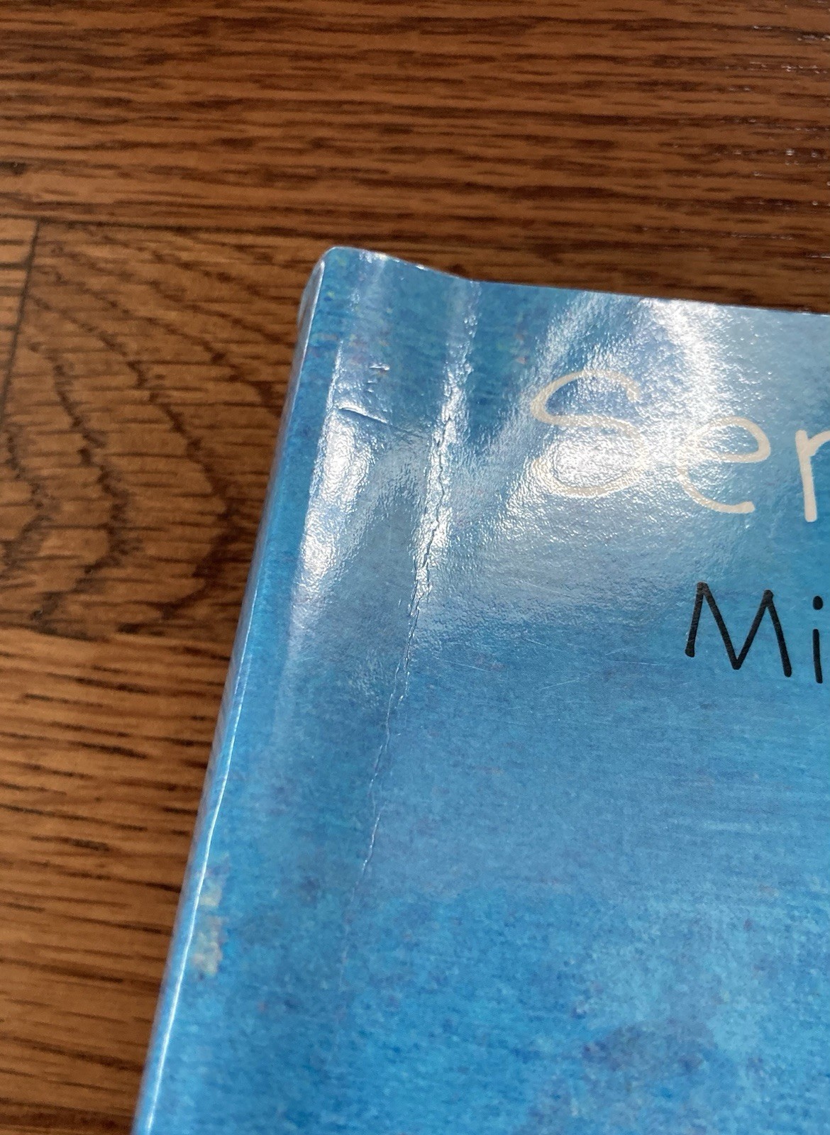 Royal Fireworks Press Sentence Island Second Edition Student Book