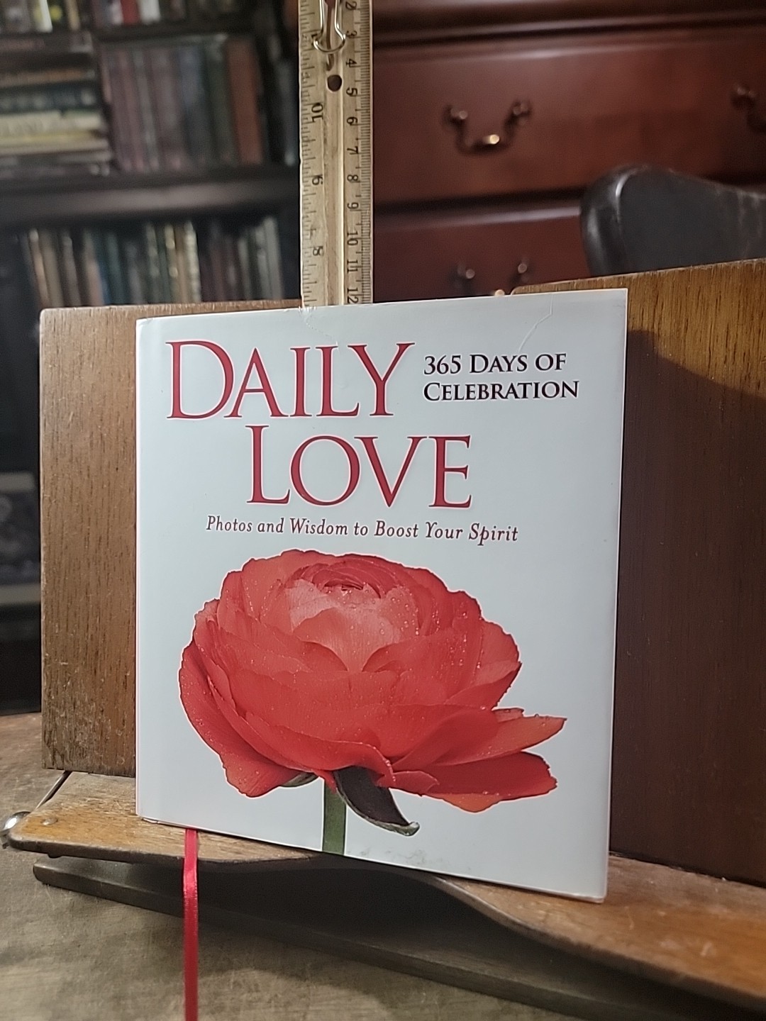 Daily Love : 365 Days of Celebration by National Geographic (2016, Hardcover)