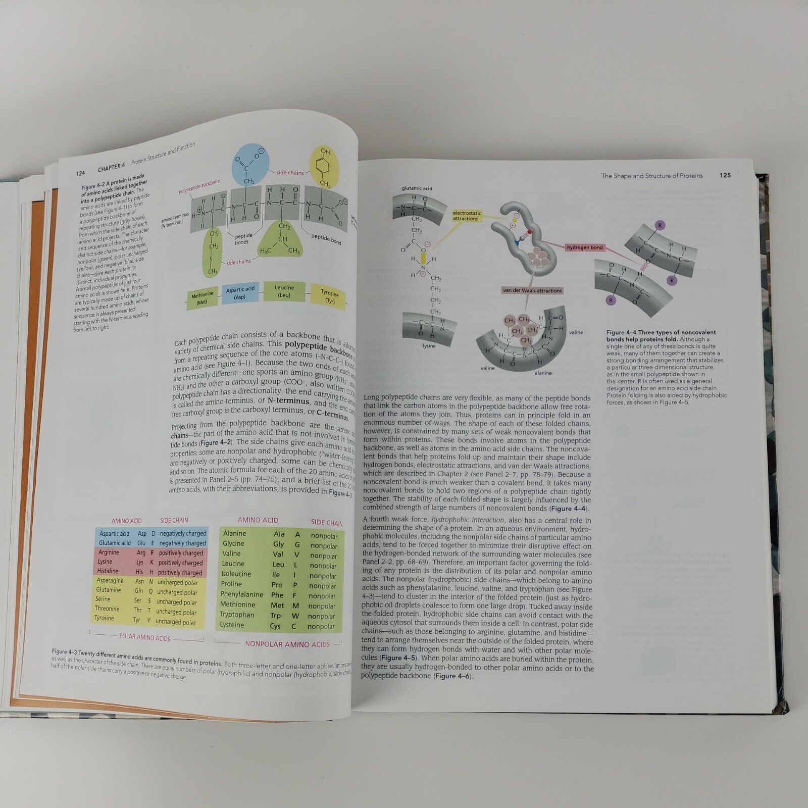 Essential Cell Biology by Dennis Bray, Julian Lewis, 2014 4th Edition