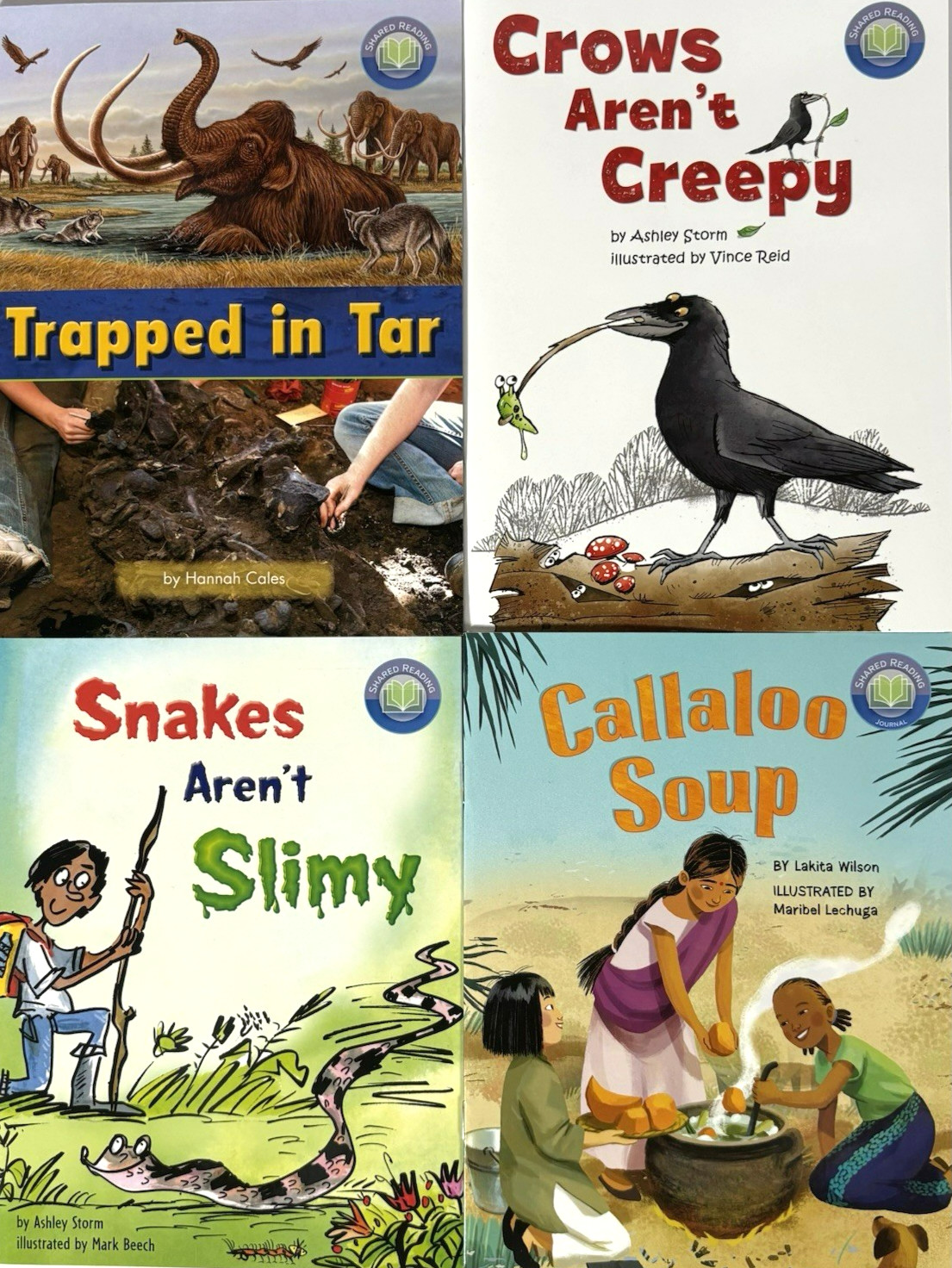 GRADE 3 READERS Homeschool Reading Books Fountas & Pinnell Curriculum 30 Books