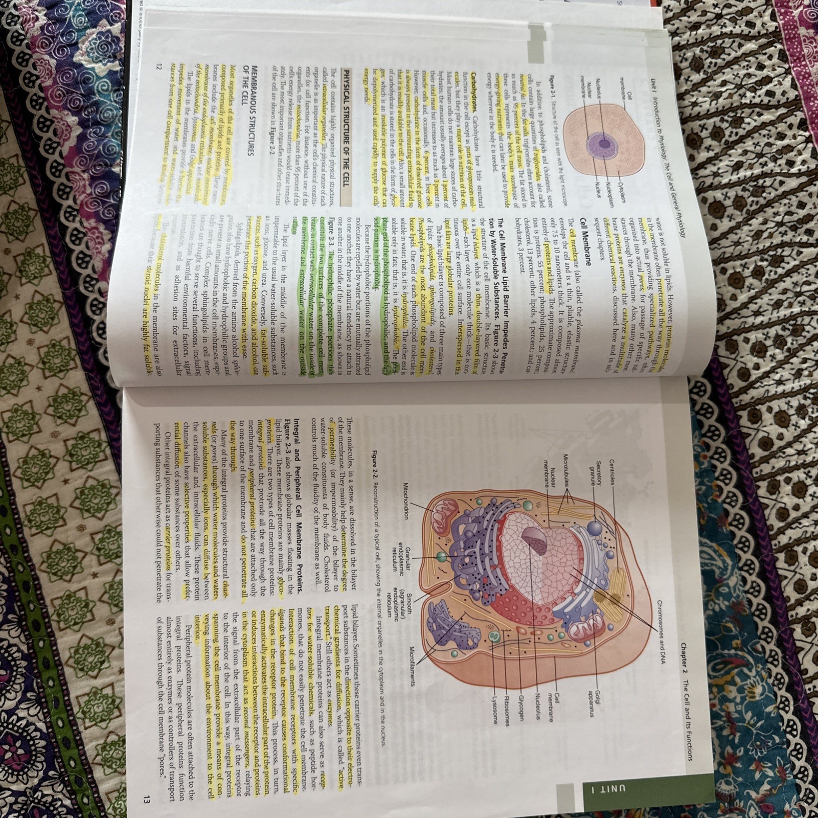Guyton Physiology Ser.: Guyton and Hall Textbook of Medical Physiology by…