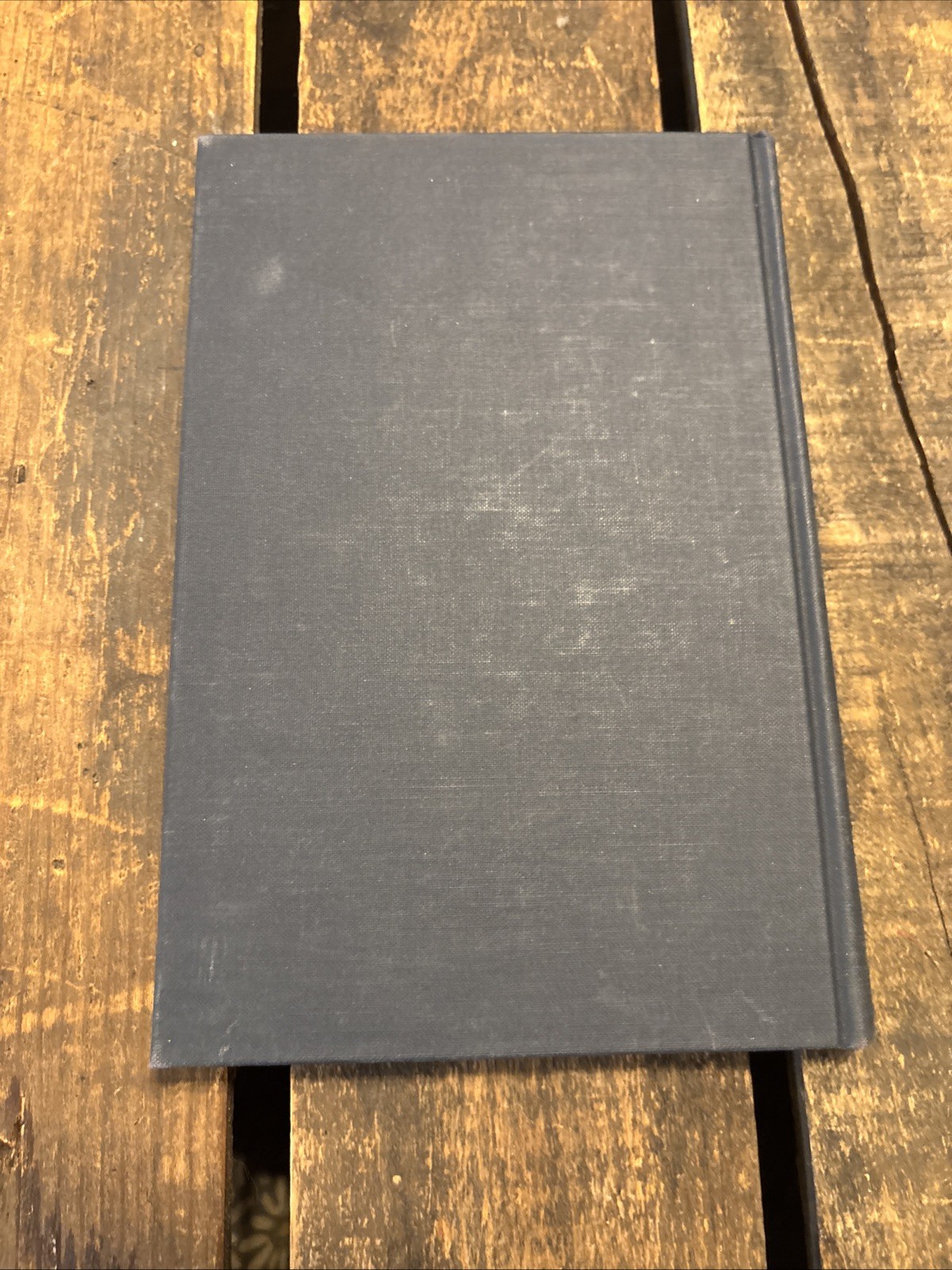 The Theory of Algebraic Numbers – Paperback, by Pollard Harry; Diamond – Good