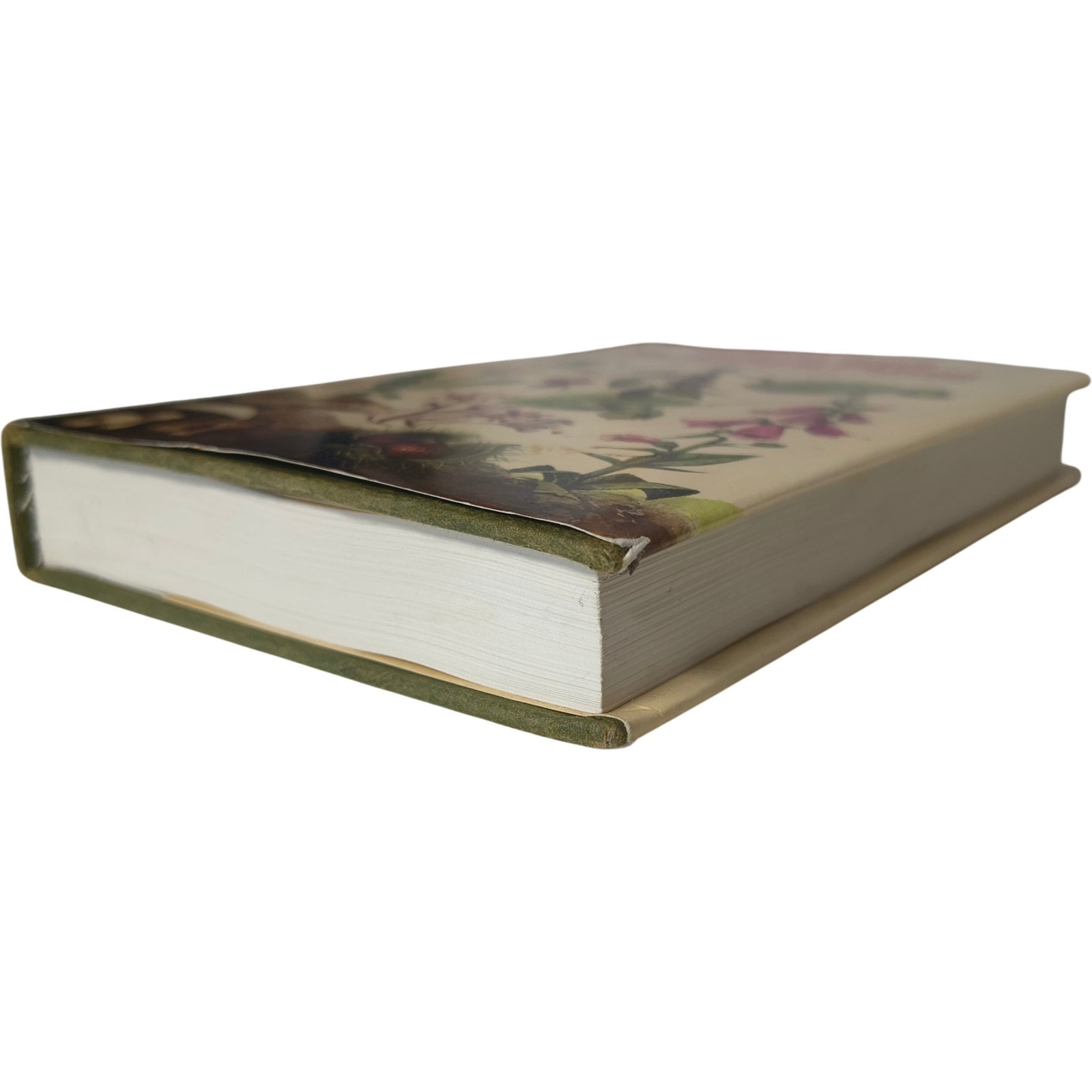 The Hamlyn Guide to Edible Medicinal Plants by Edmund Launert Hardcover