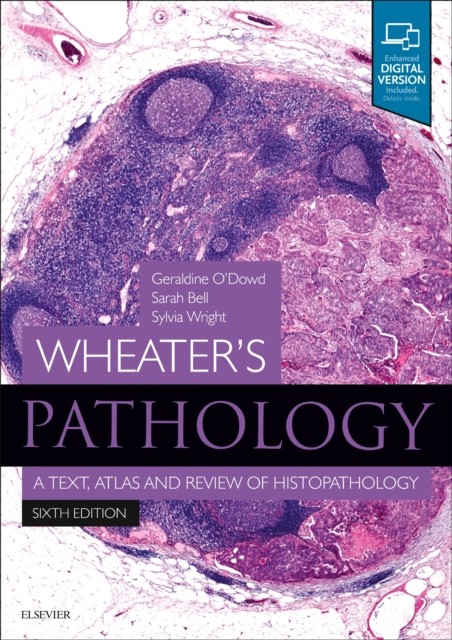 WHEATERS PATHOLOGY A TEXT ATLAS & REVIEW by Geraldine Consultant Diagnostic