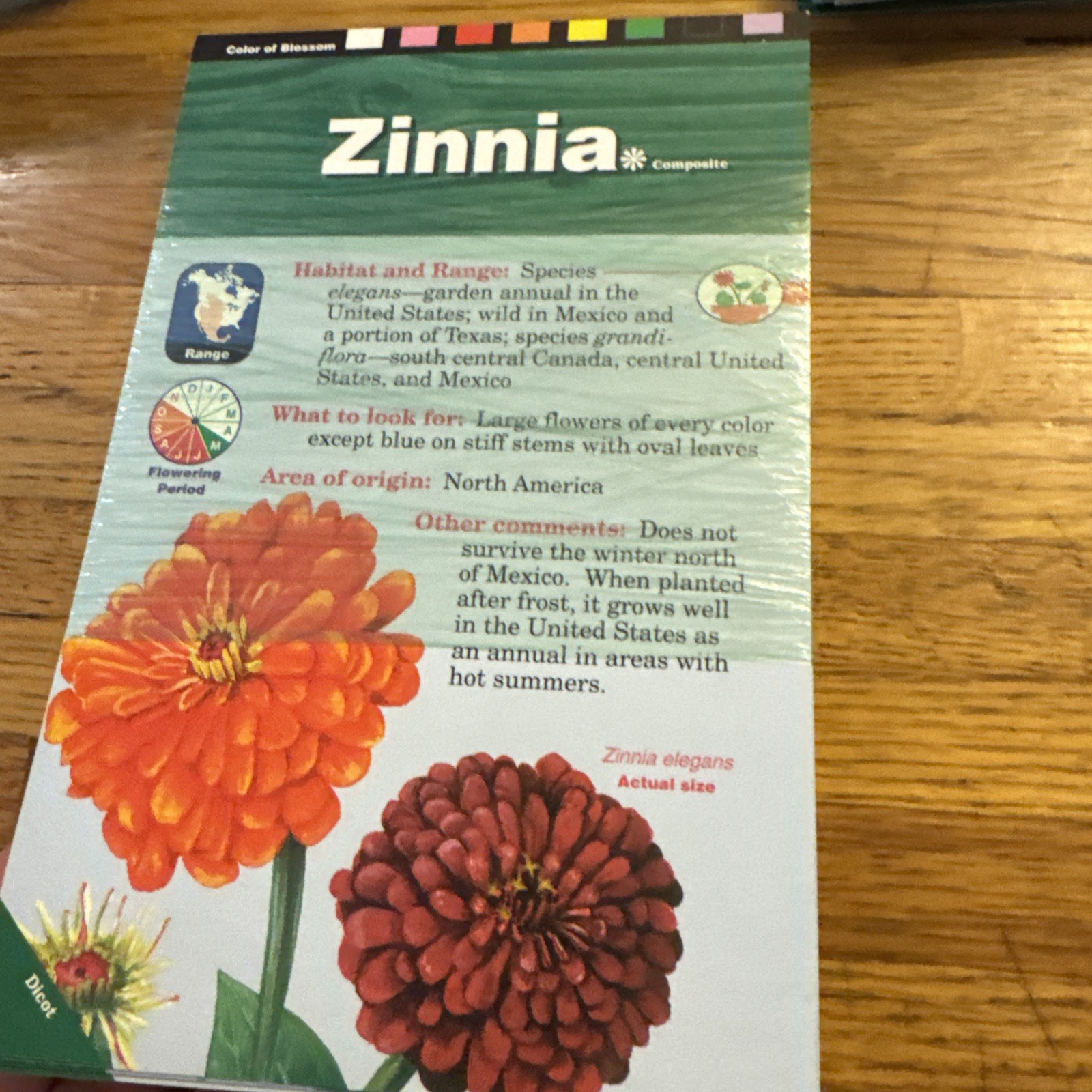 Abeka Flowers Field and Study Cards – 5th & 6th Grade Science