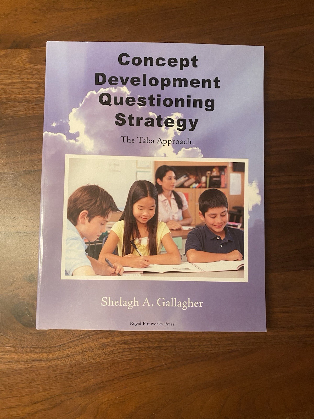Concept Development – Shelagh A Gallagher Brand New (Taba Approach)