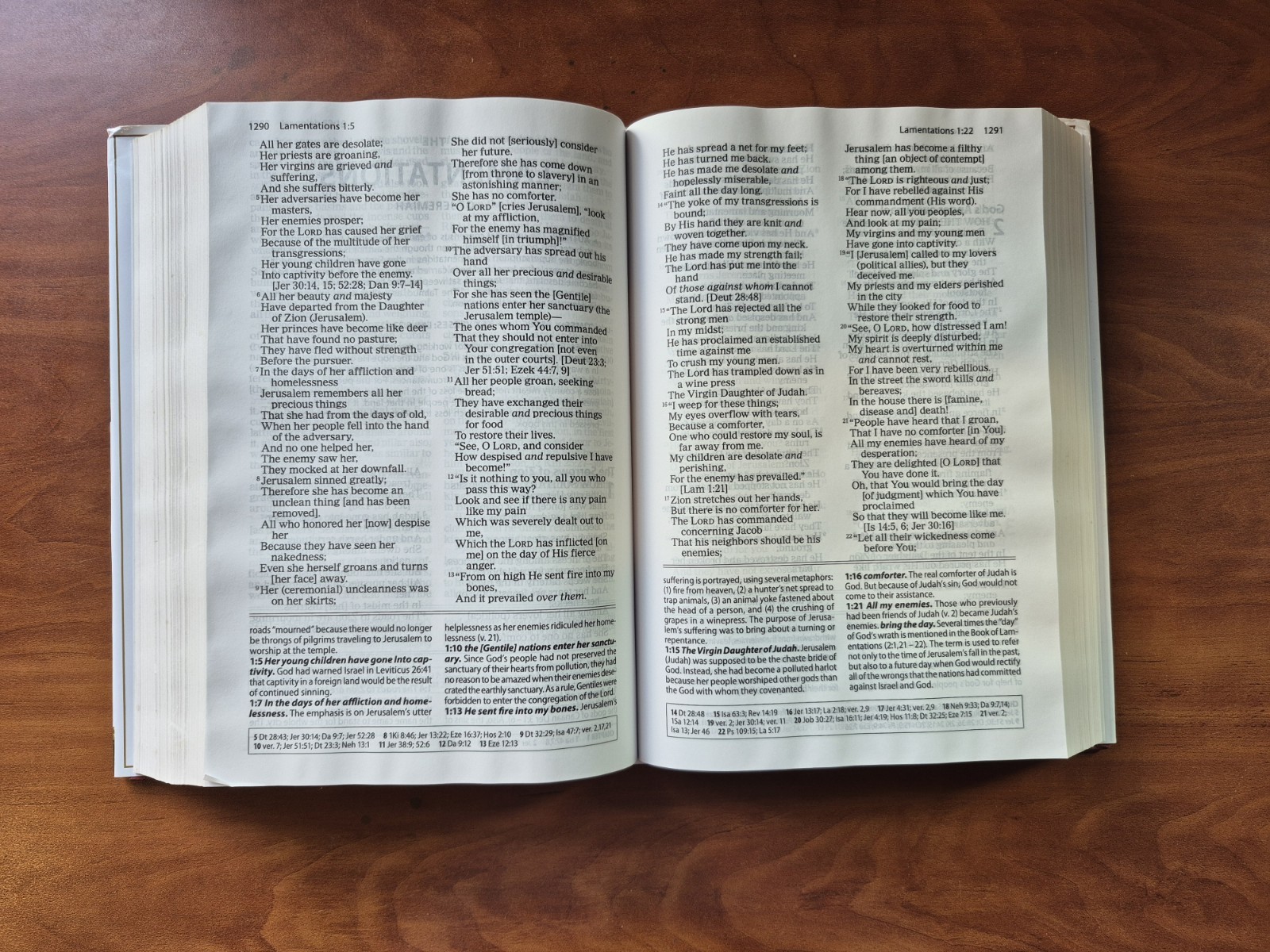 Amplified Study Bible by Zondervan (2017, Hardcover)