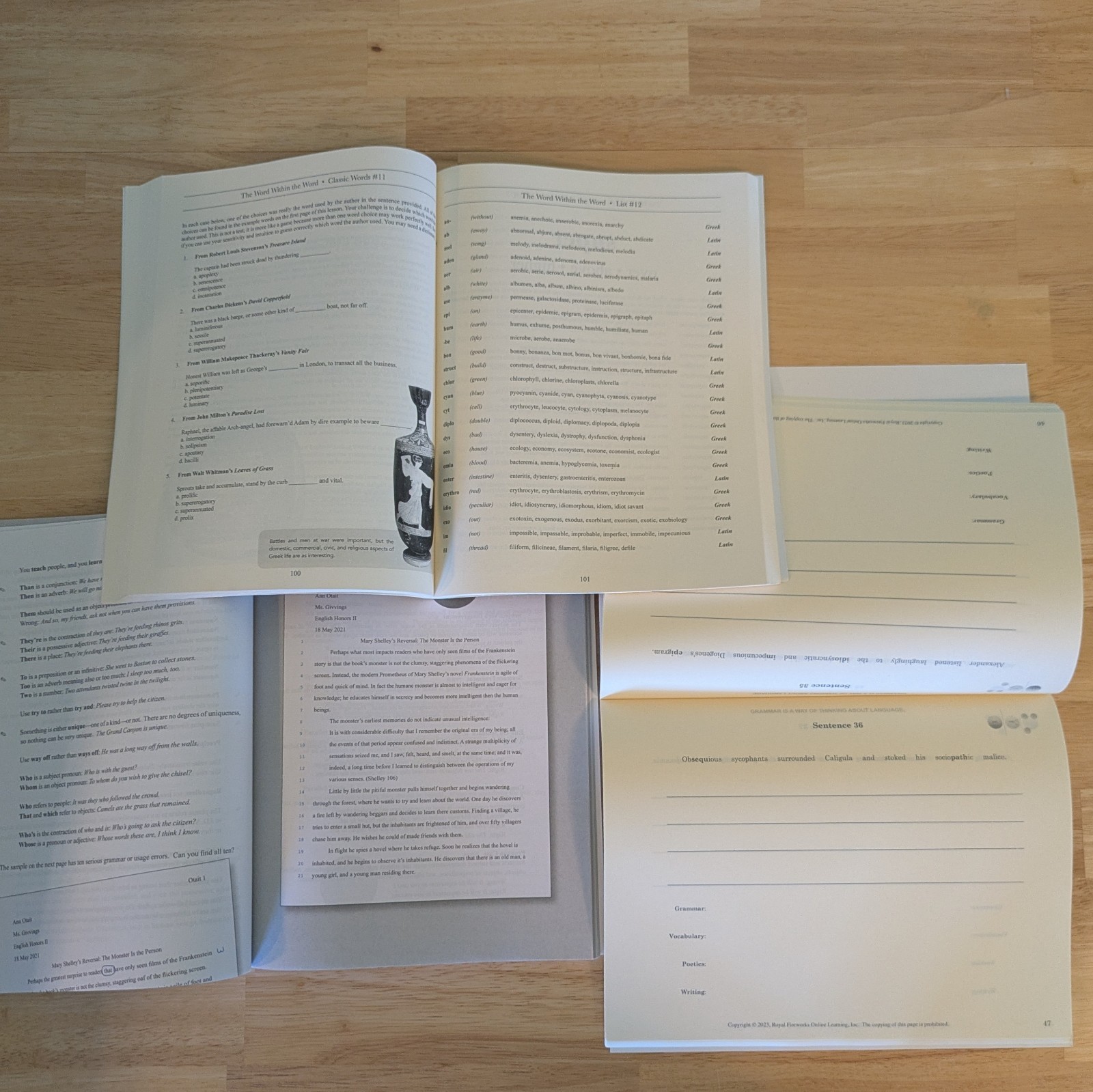 MCT Language Arts Level 5 Complete Student Book Lot Color Royal Fireworks Press