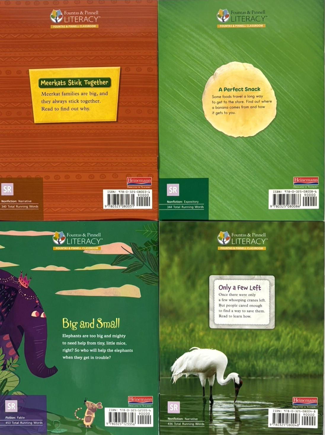 GRADE 3 READERS Homeschool Reading Books Fountas & Pinnell Curriculum 30 Books