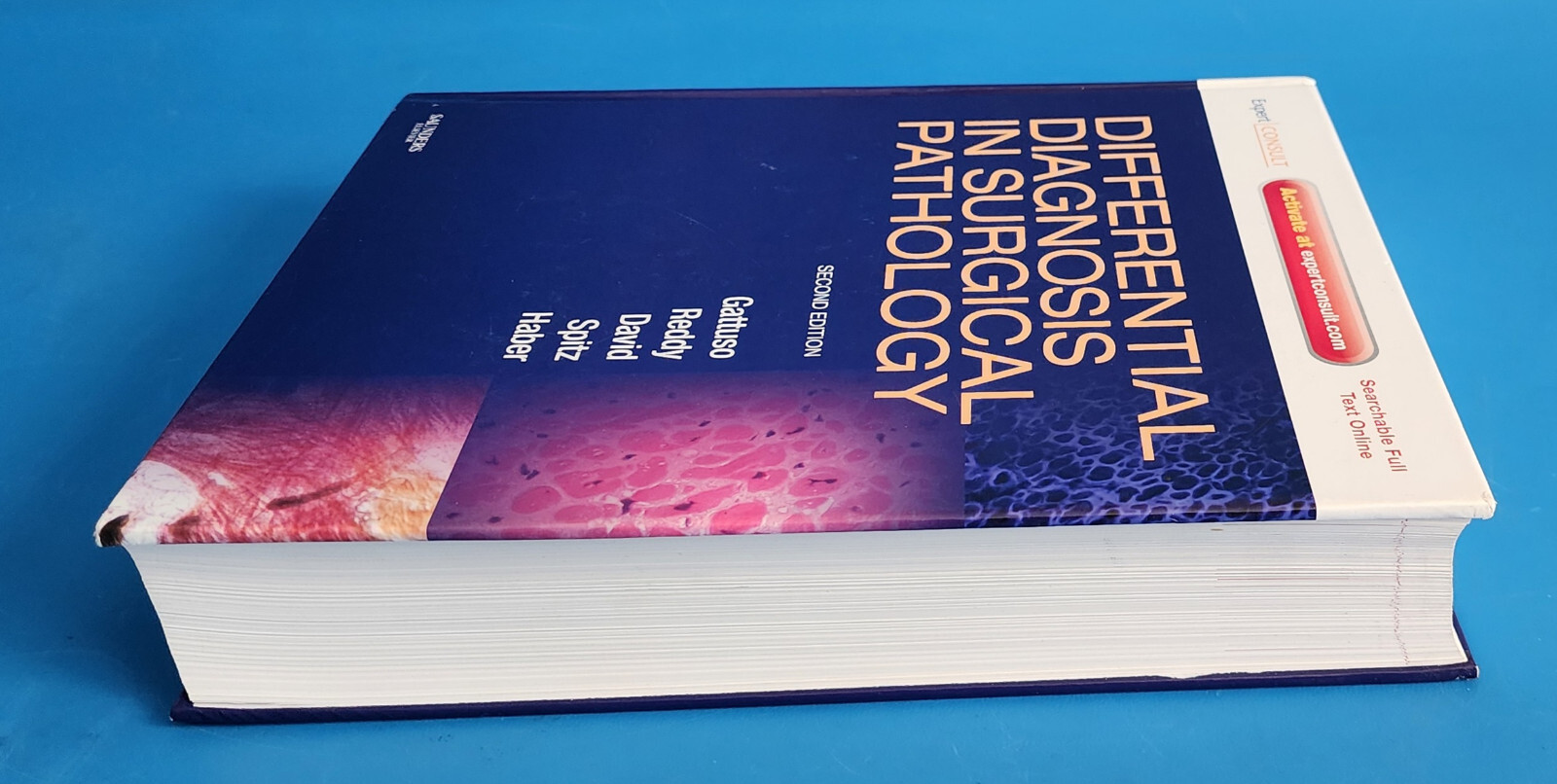 Differential Diagnosis in Surgical Pathology – Expert Consult – 9781416045809