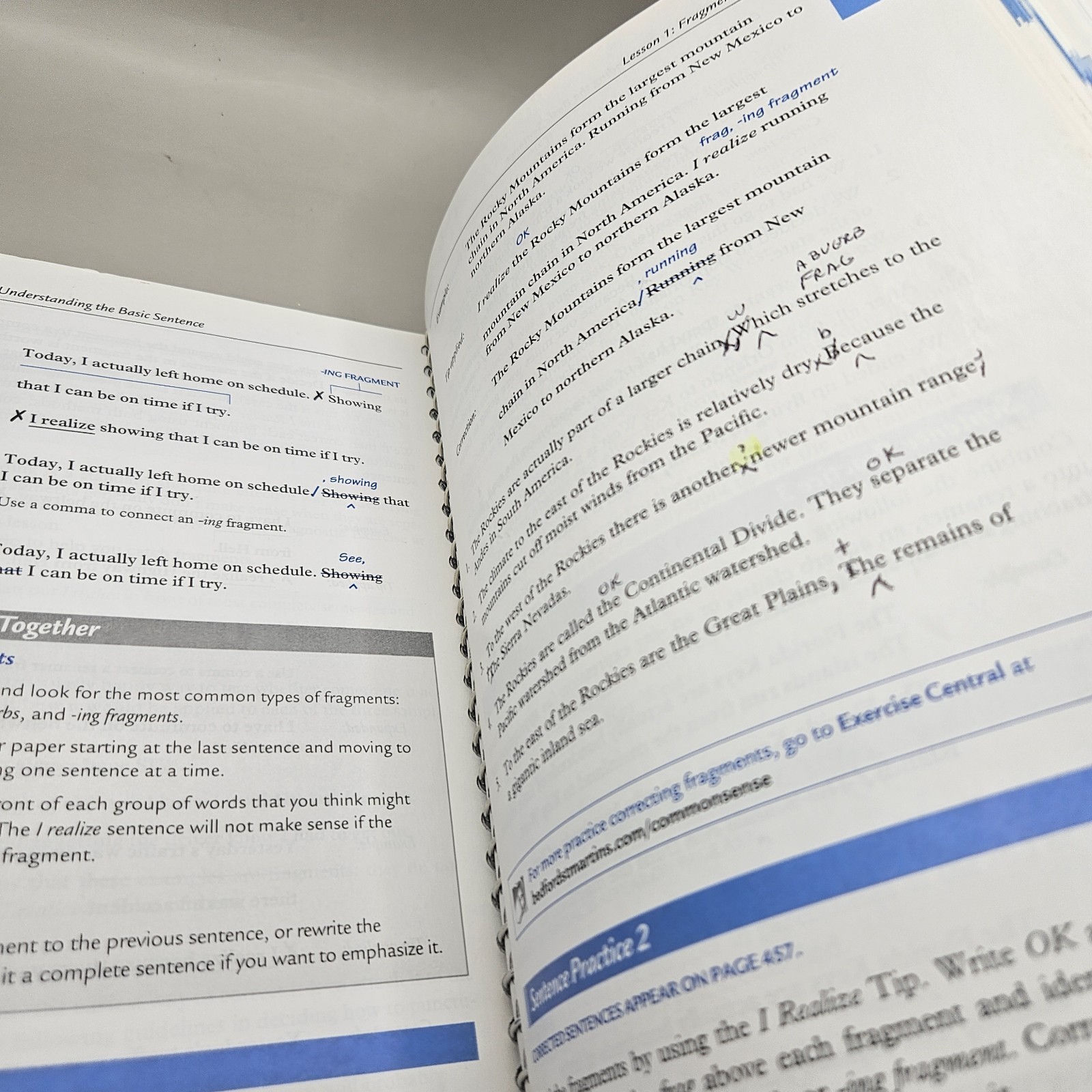 Commonsense Guide to Grammar and Usage by Larry Beason and Mark Lester (2008,…