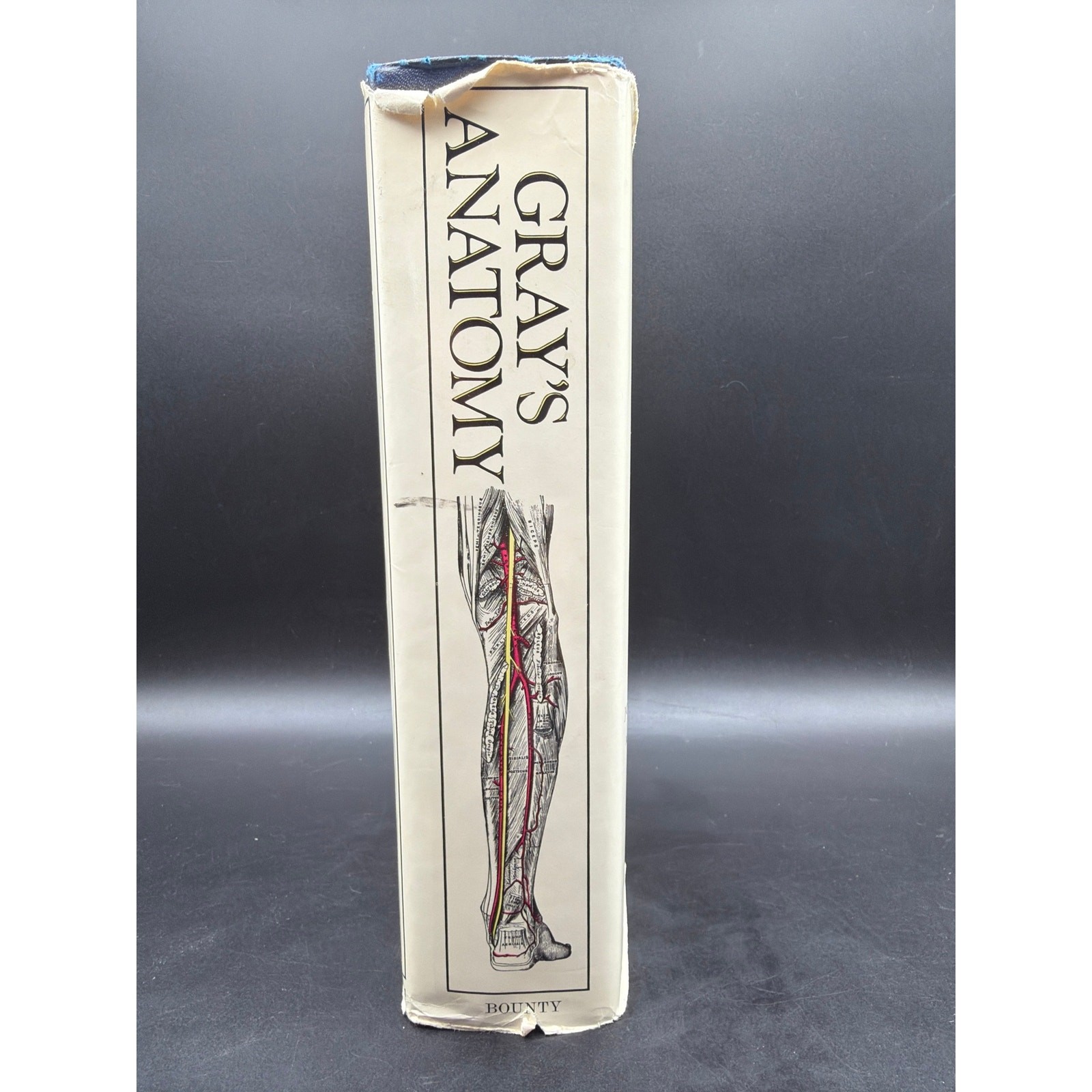 Gray’s Anatomy Classic Collector’s Edition HC DJ 1977 Bounty Books 780 Illus