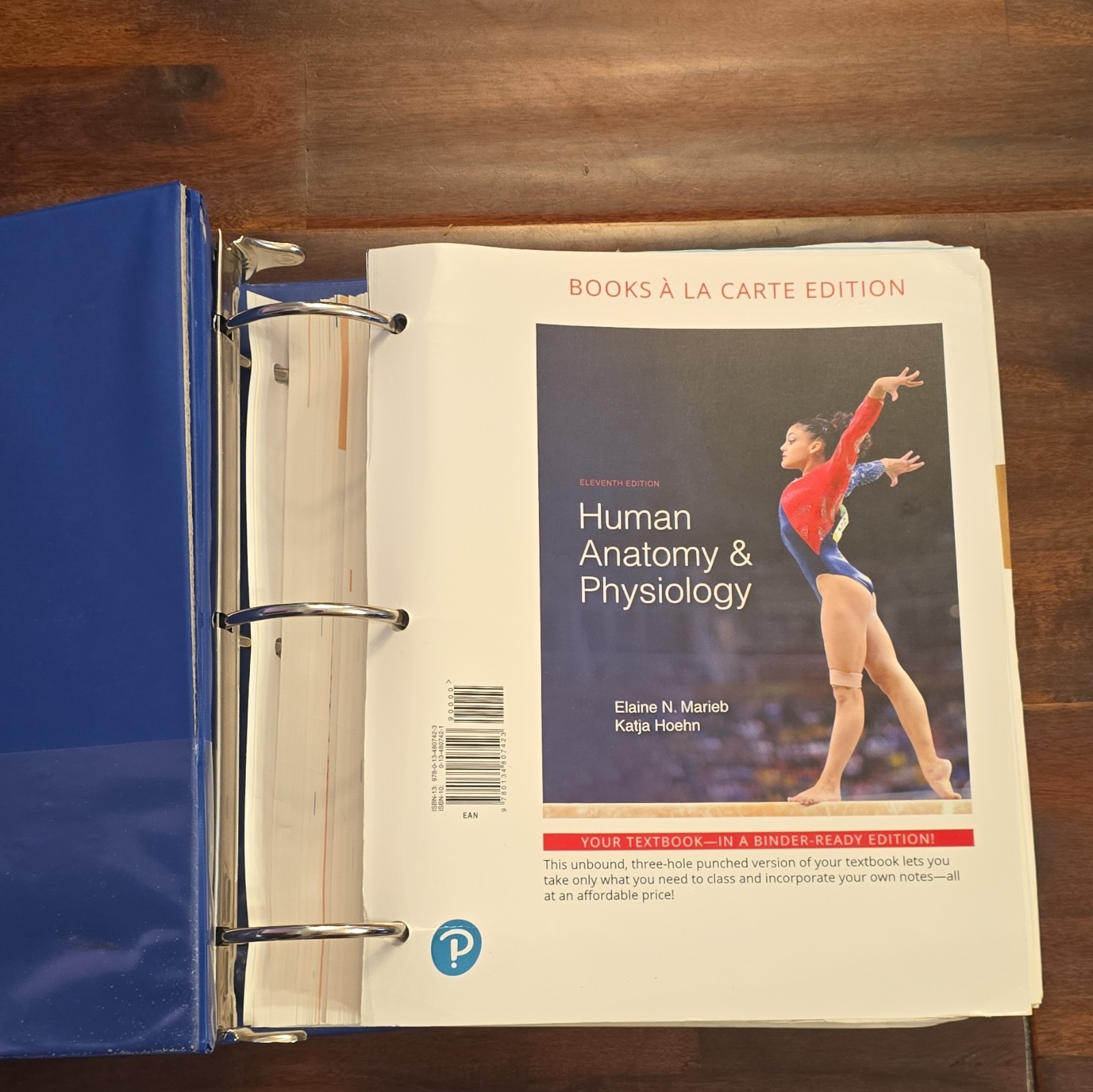 Human Anatomy and Physiology by Elaine Marieb and Katja Hoehn (2018, Hardcover)